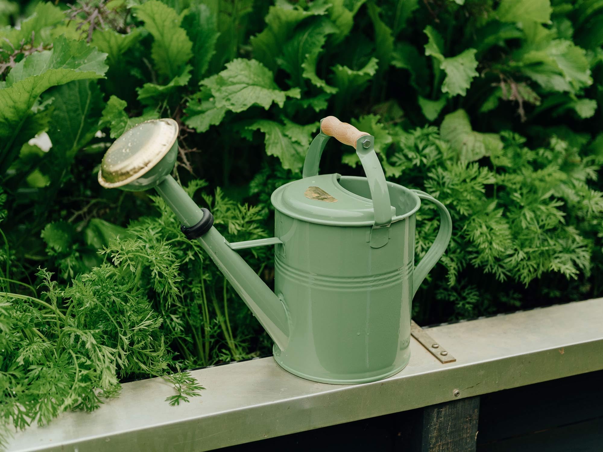 Homefarming Judith Rakers-Gießkanne 5 Liter, grün