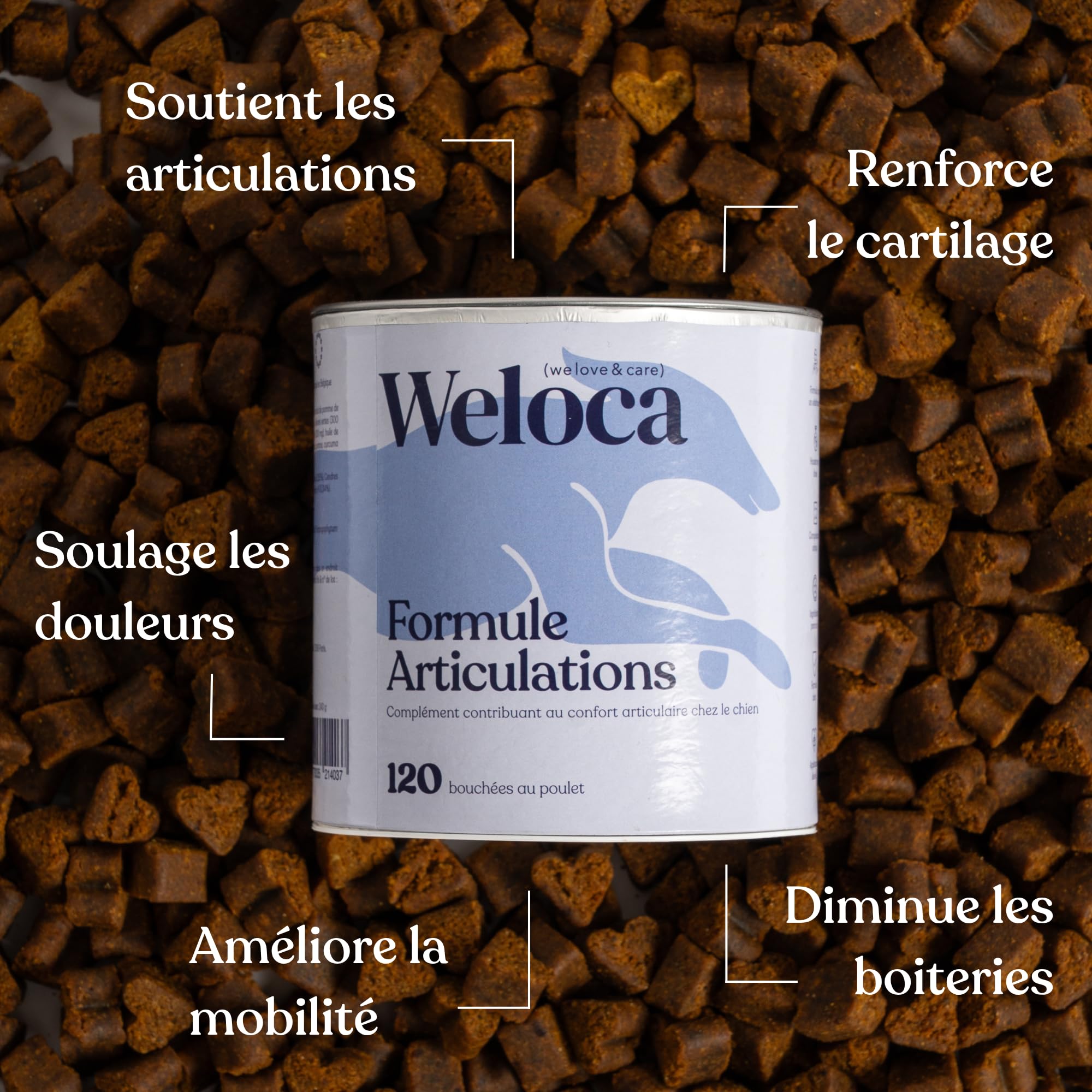 Arthrose Chien | 120 compléments Premium | 11 Actifs puissants hautement dosés (Moule Verte, harpagophytum, chondroïne, Glucosamine) | Anti-arthrose, mobilité retrouvée | Formule vétérinaire