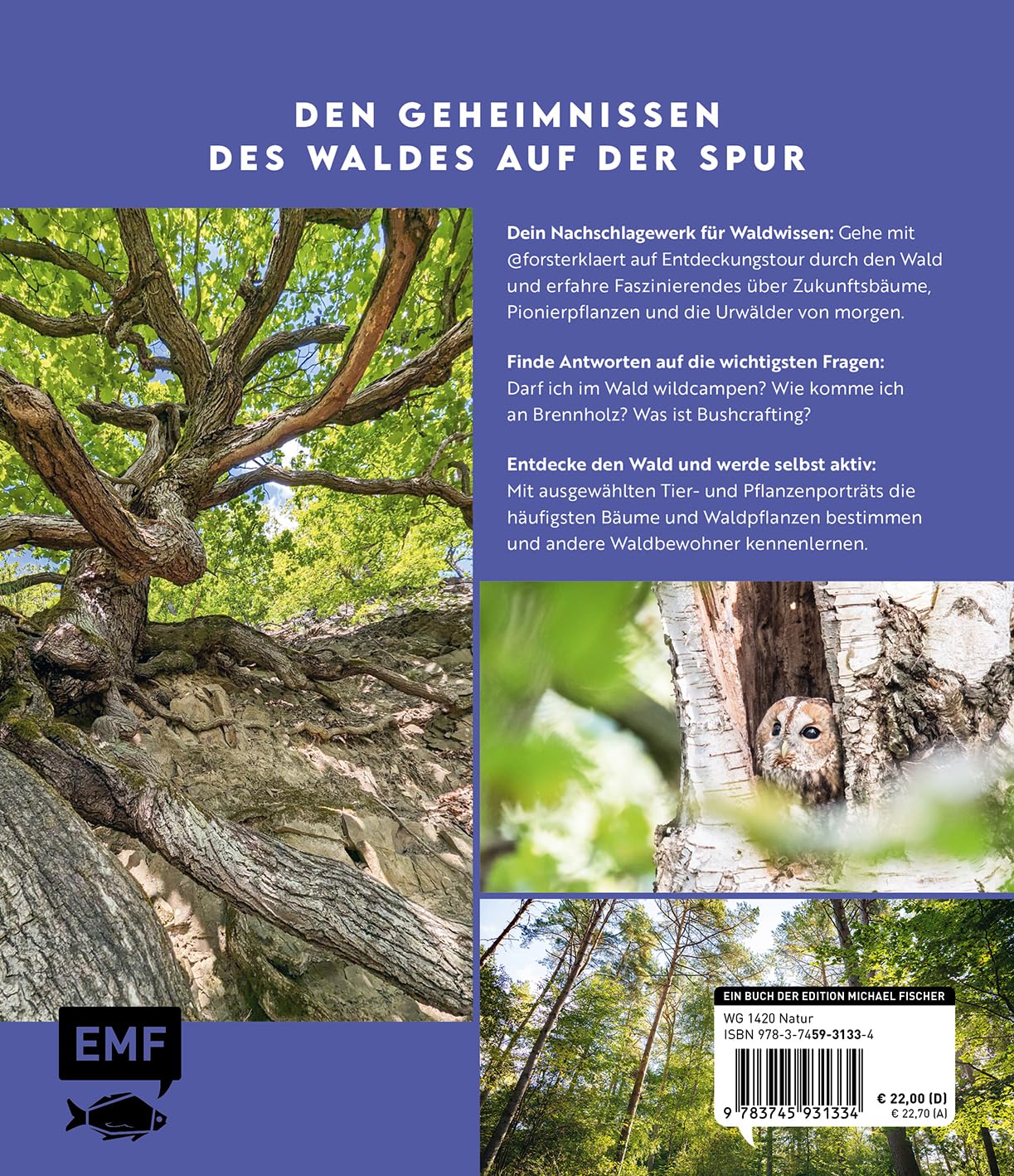 Forst erklärt: Warum wir den Wald brauchen – und er uns: Natur verstehen und erleben: vom Pflanzenbestimmen bis Waldbaden | Mit vielen Porträts zur Bestimmung von Bäumen, Pflanzen, Tieren