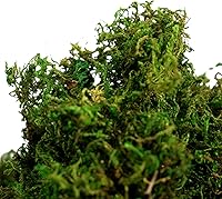 Vista 3 de BYHER Hierba verde falsa de musgo artificial para centros de mesa, hogar, cocina, decoración de jardín (8 onzas, fresco)