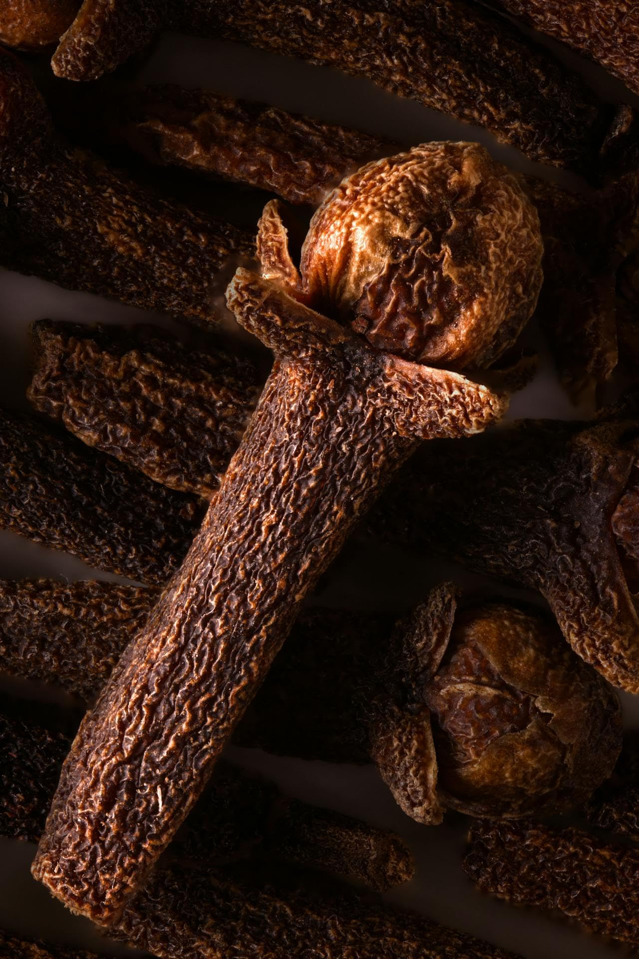 Kamelur 500g de clous de girofle biologiques entiers - clous de girofle biologiques aromatiques, sans additifs - l'épice parfaite pour le pain d'épices - dans un emballage biodégradable