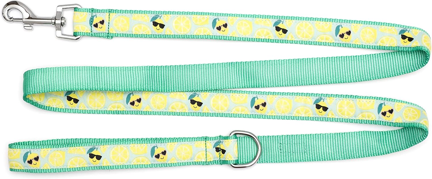 THE WORTHY DOG Lemons Patterned Nylon Leash for Dogs, Stylish, Durable, Woven Ribbon - Lemon Green, Large
