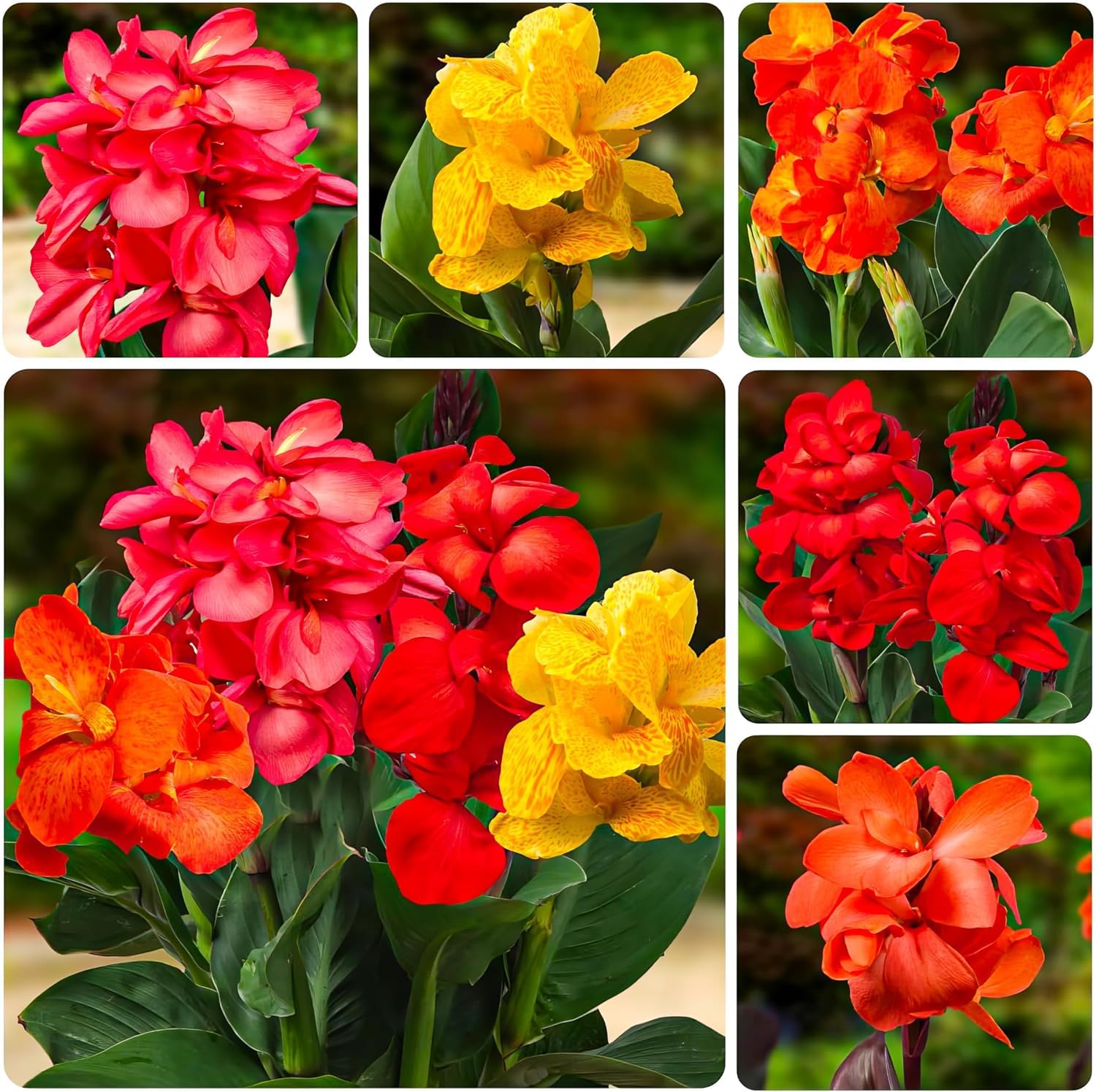 Stamppot: Een Klassiek Nederlands Gerecht - Bijna Alles