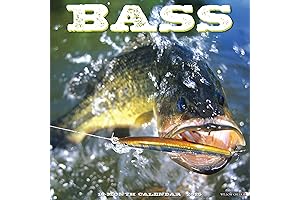 2025 Bass Fish Calendar by Willow Creek Press