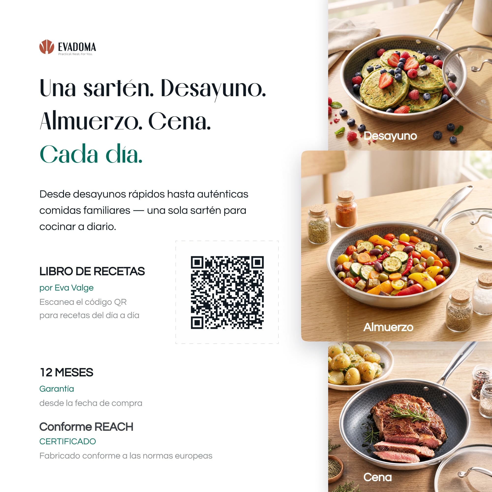 Sartén Antiadherente 24 cm con Tapa de Cristal | para Tortilla de Patatas, Huevos y Crepes | Apta para Todas las Cocinas y Horno | Acero Inoxidable Panal de Abeja | Sin PFOA