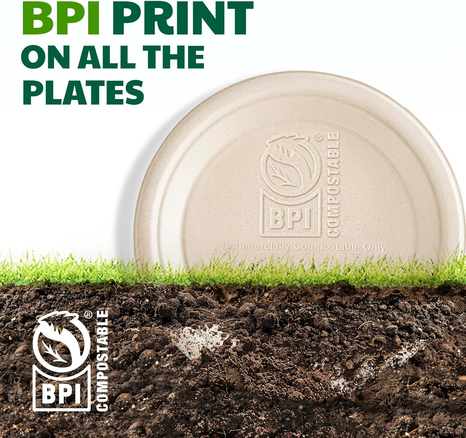 Disposable Plates Bundle: 125 Count 10-Inch and 125 Count 6-Inch Compostable Paper Plates