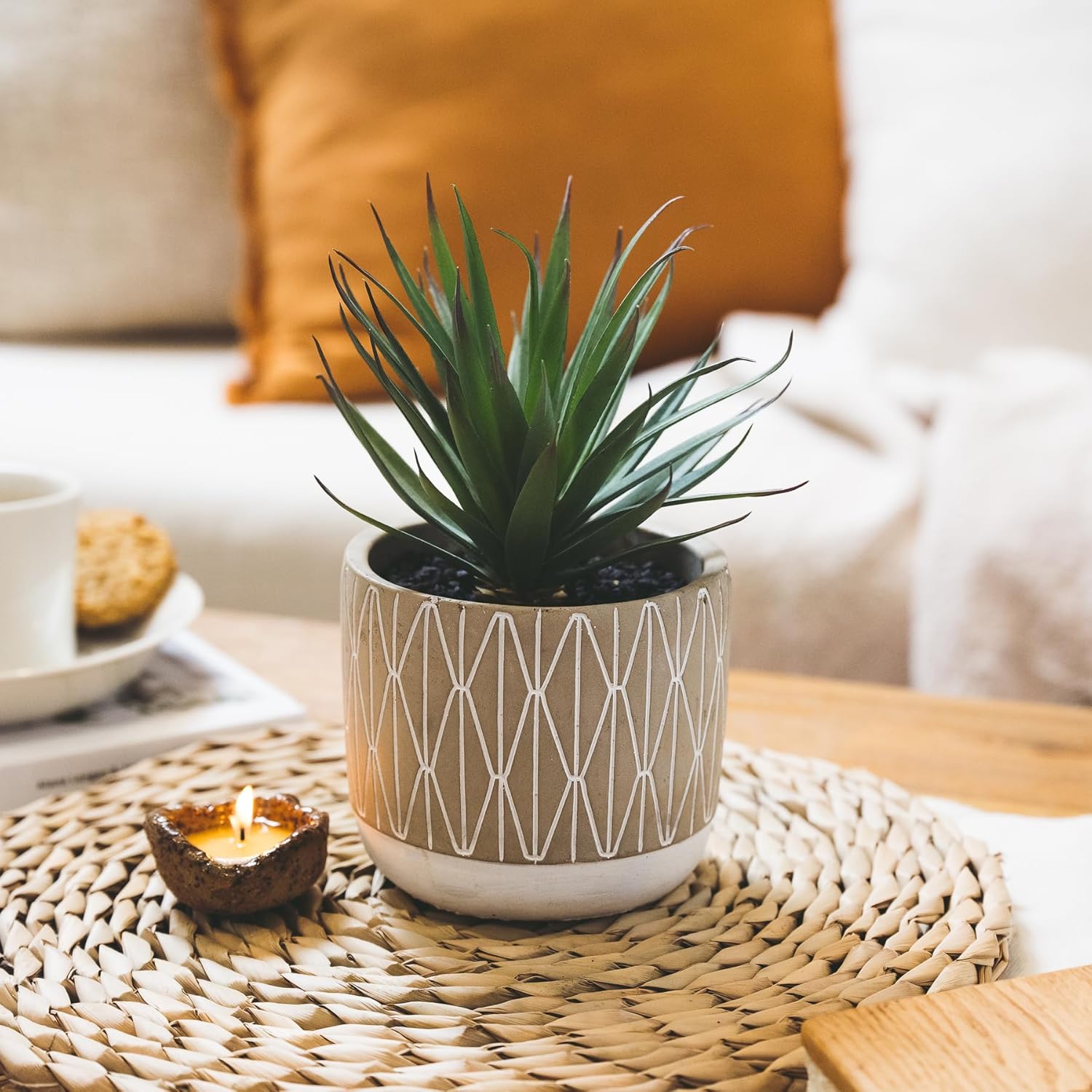 Kurrajong Farmhouse Realistic Faux Succulent in Pot - 8" Fake Plant for Home, Office Desk Decor, or Perfect for Shelf Decor. This Succulent Plant Artificial Will Suit Any Home Decor. - Image 5