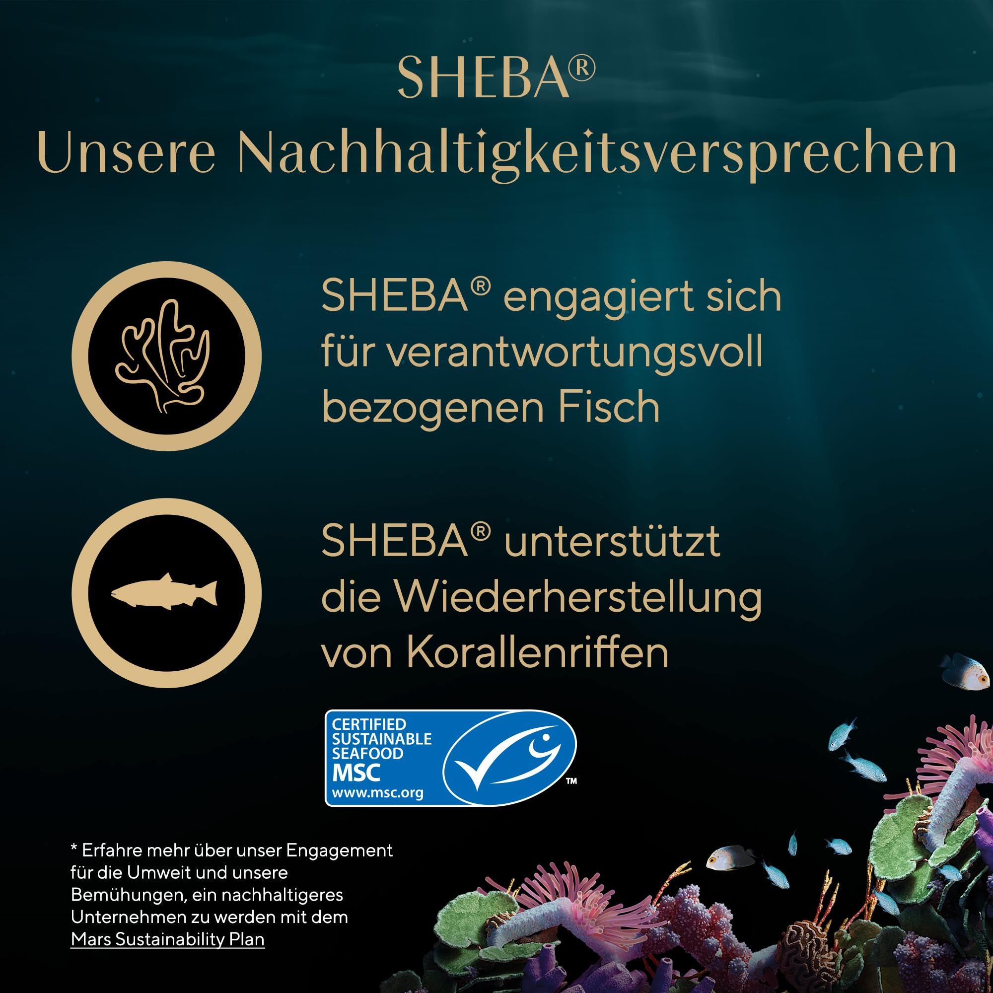 Sheba Filets Adult Katzenfutter in Sauce mit Huhn und Thunfisch, Weißfisch, Geflügel und Lachs 36 x 60 g Schale