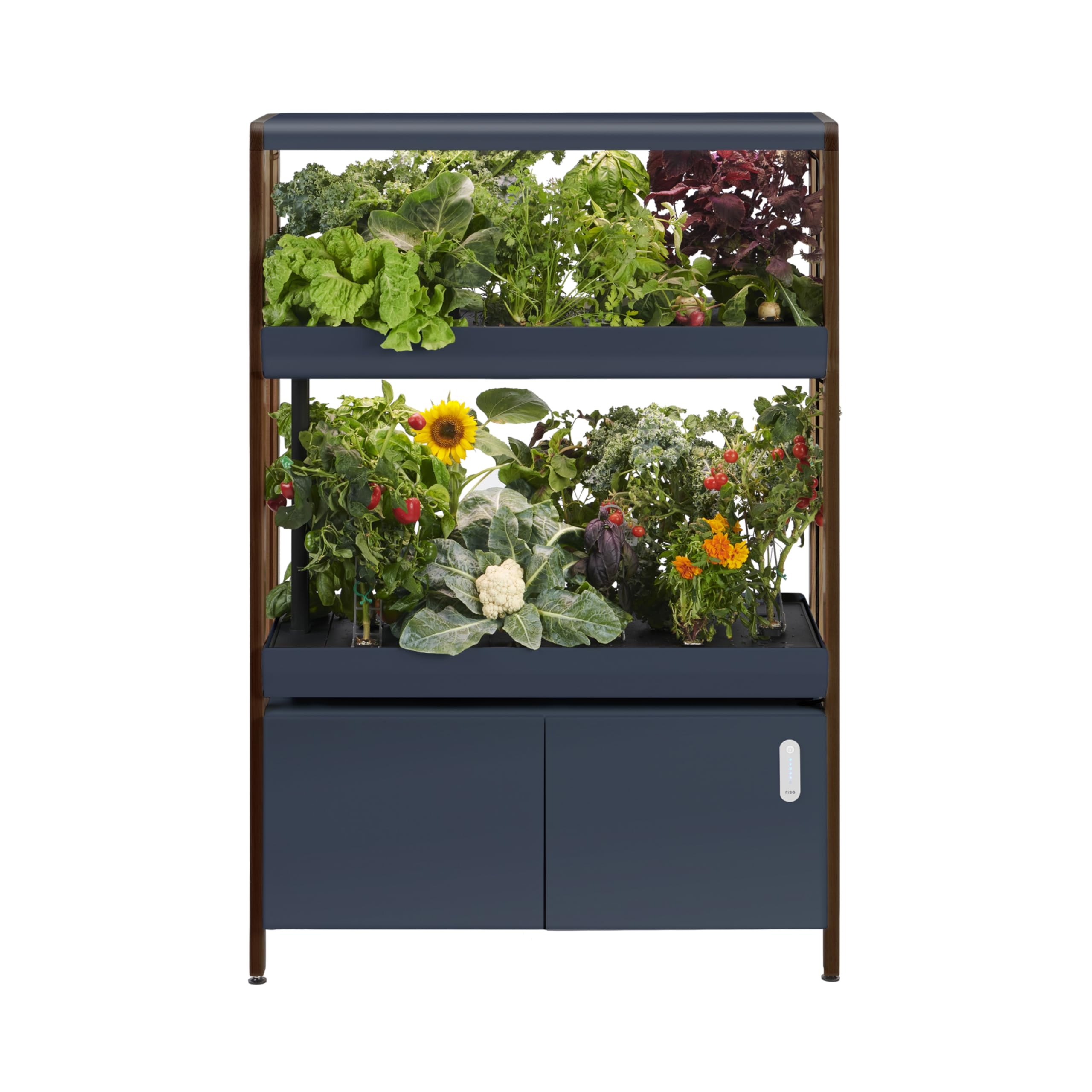 Rise Gardens2 Level Garden Hydroponic Indoor Garden Kit with LED Grow Light, Charcoal Color