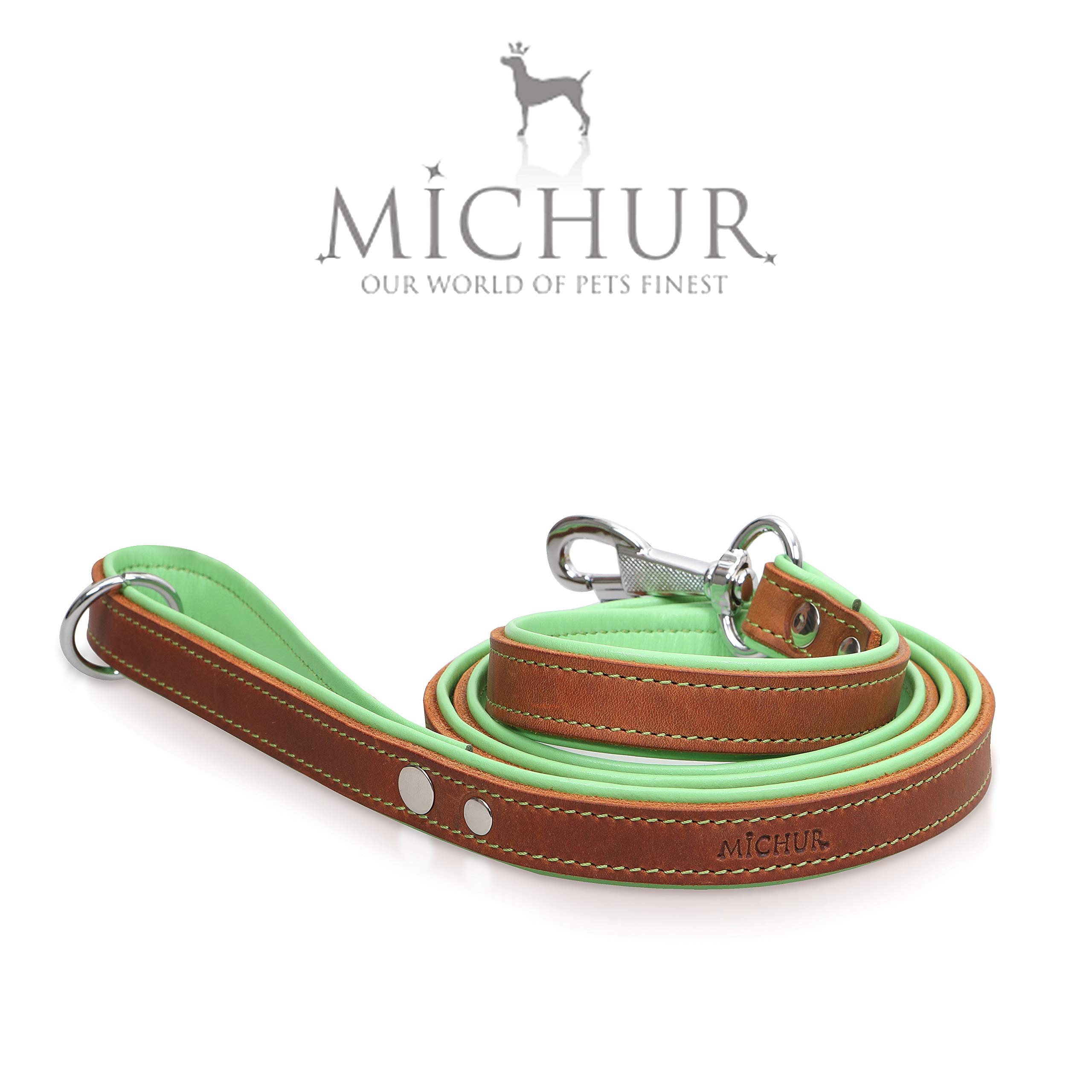 MICHUR Charly Grün Leine, Hundeleine Leder, Lederleine Hund, PASSEND ZUM Halsband Charly, Braun, Leder
