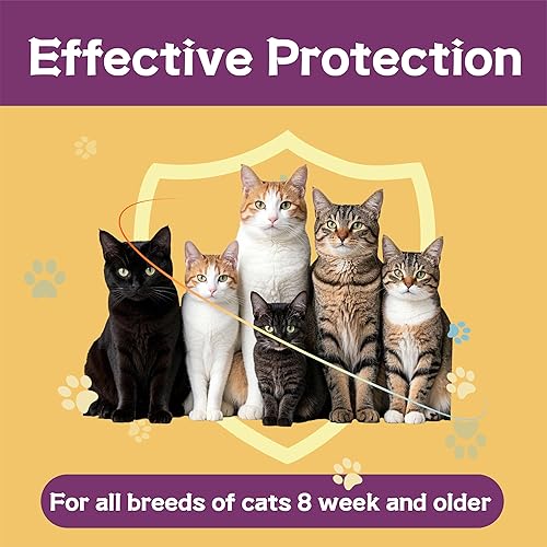 Miniatura 5 de Prevención de pulgas y garrapatas para gatos, tratamiento de pulgas y garrapatas para gatos gatitos, control de pulgas y garrapatas, más de 1.5