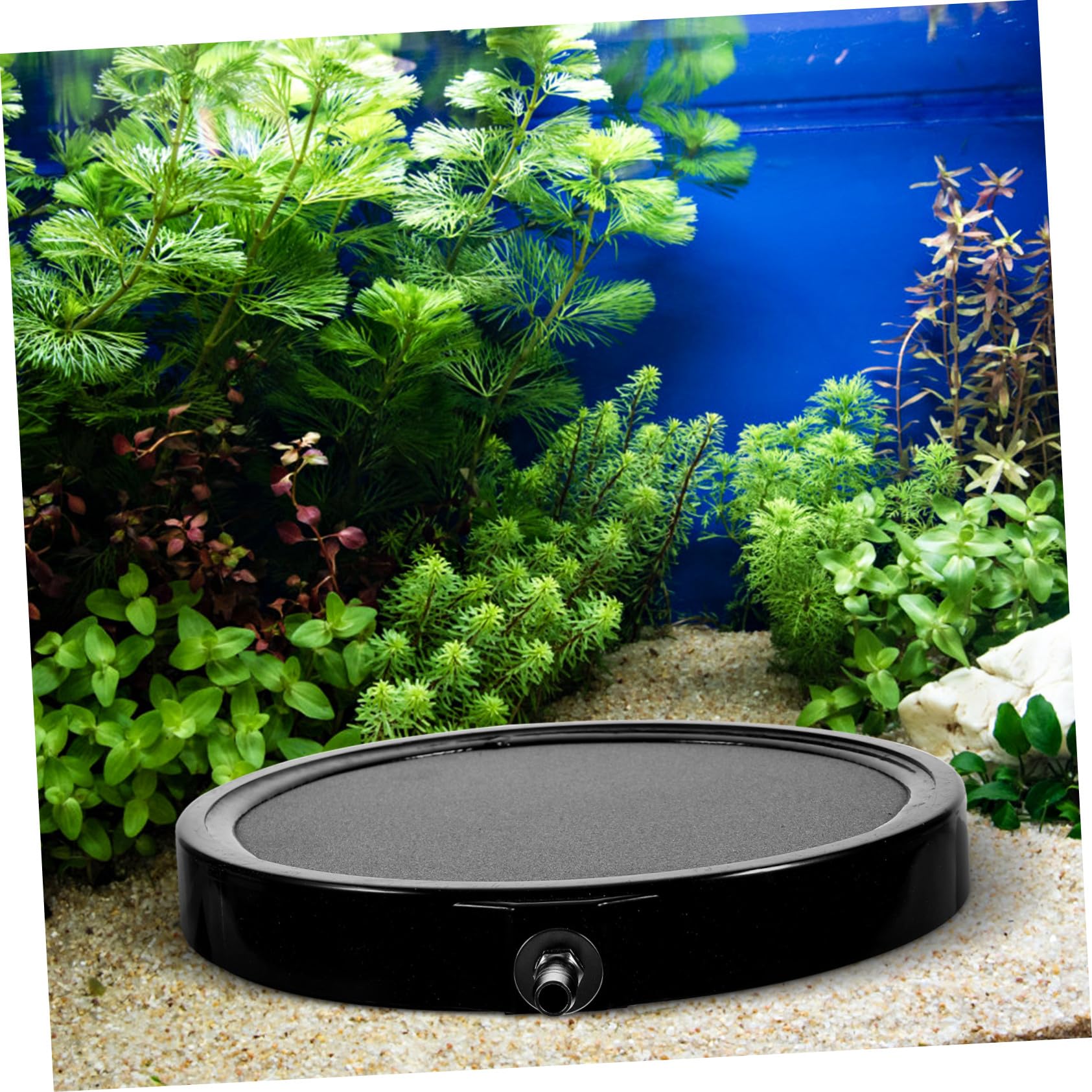 GALPADA Aquarium Ausströmerstein Sauerstoffstein Für Fischbecken Luftblasenstein Mit Ausströmerscheibe Blasendiffusor Für Aquarien