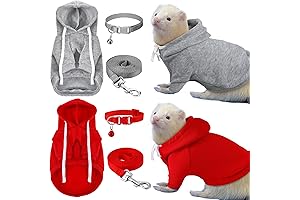 Ferret Clothing for Girls: Safe and Stylish Companionship