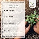 Ver la foto 7