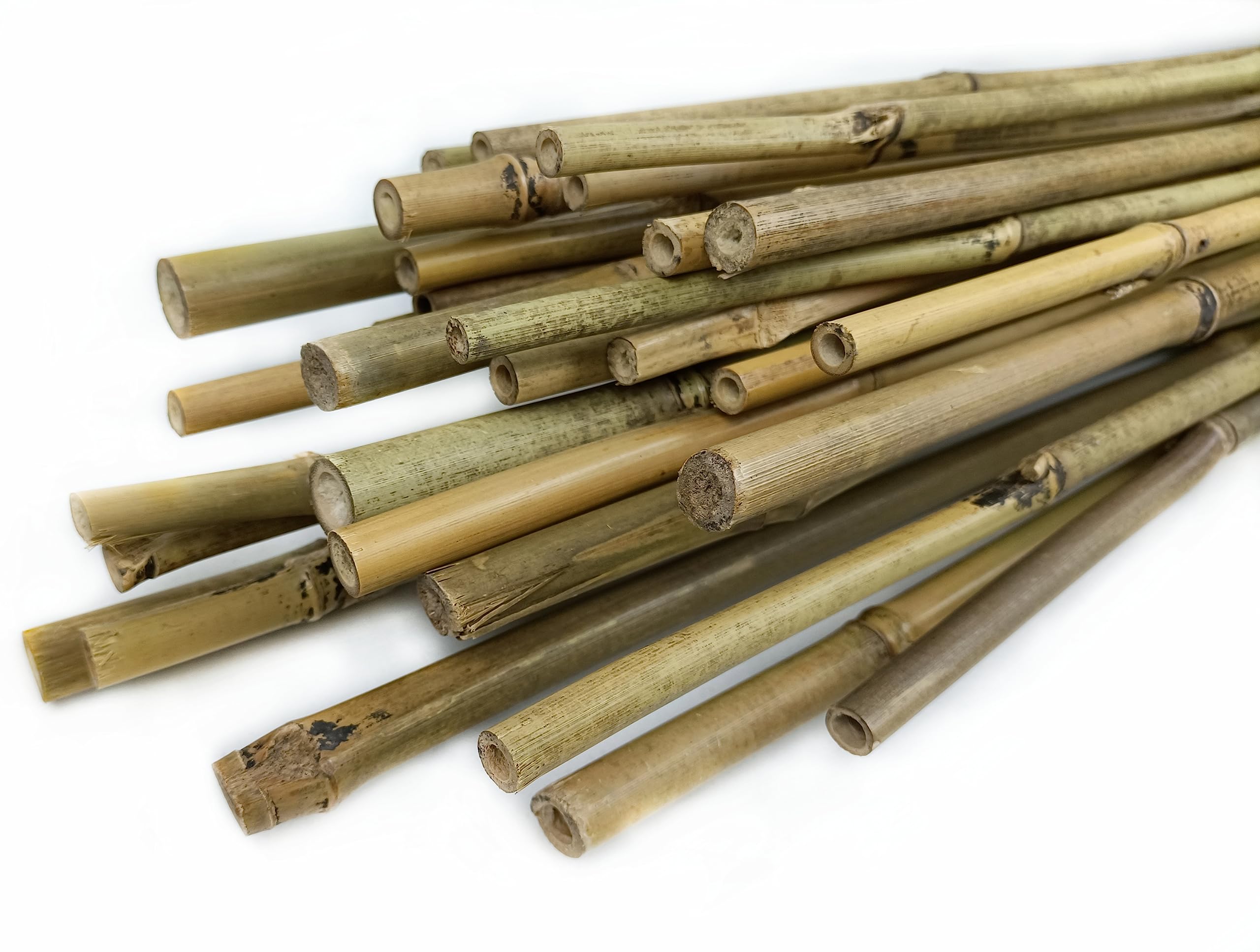 CULTIVERS 30 Tutores para Plantas de Caña Bambú 210 cm (Ø16/18 mm). Tutor para Tomates, huerto, árboles y Todo Tipo de Plantas. Varillas para Plantas. Bambú Natural
