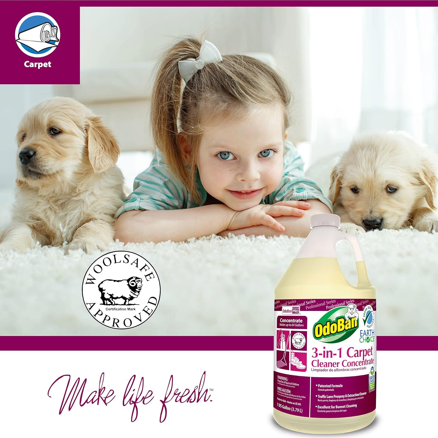 OdoBan 3-in-1 Carpet Cleaner Concentrate (1 Gallon) and Ready-to-Use Biostain and Odor Remover (1 Gallon)