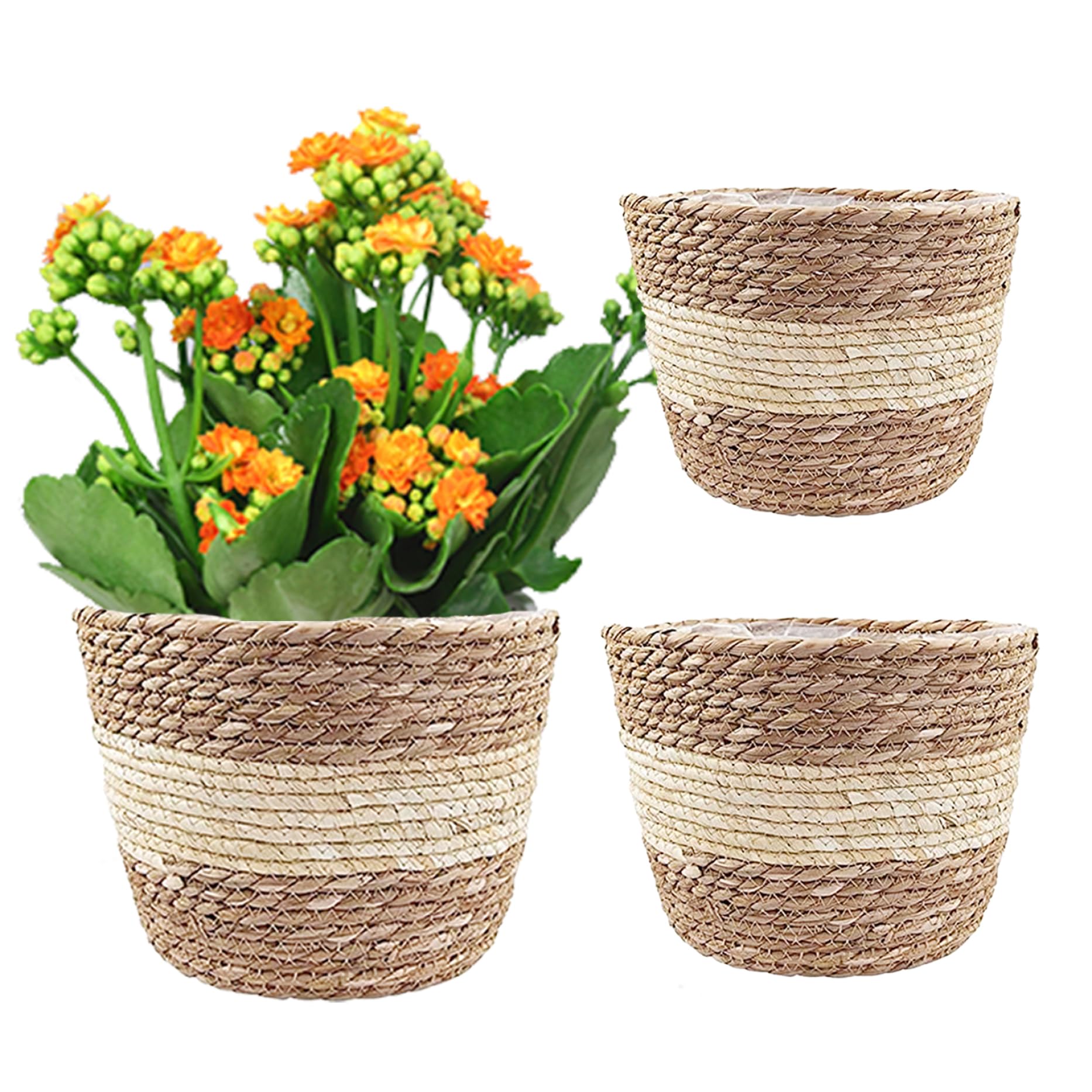 Panier rangement pour pot plantes en jonc tressé pour un salon bohème et chaleureux