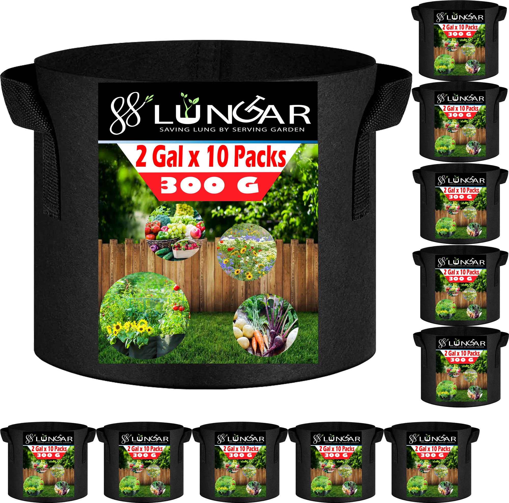LUNGAR 10-Pack 2 Gallon Grow Bags