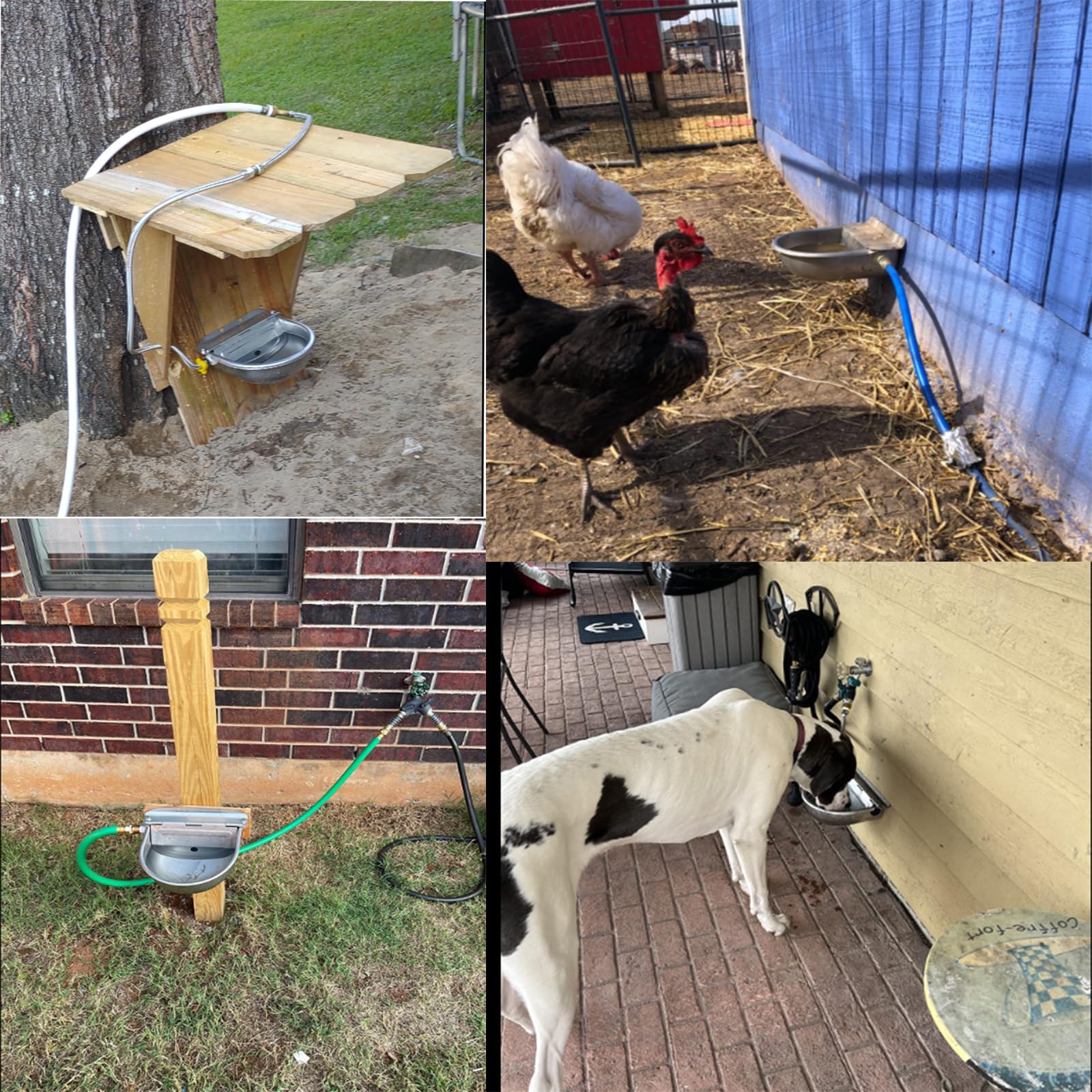 Abbeveratoio Automatico Per Animali MasXirch - Acciaio Inox, Con Valvola A Galleggiante, Verde - Foto 8