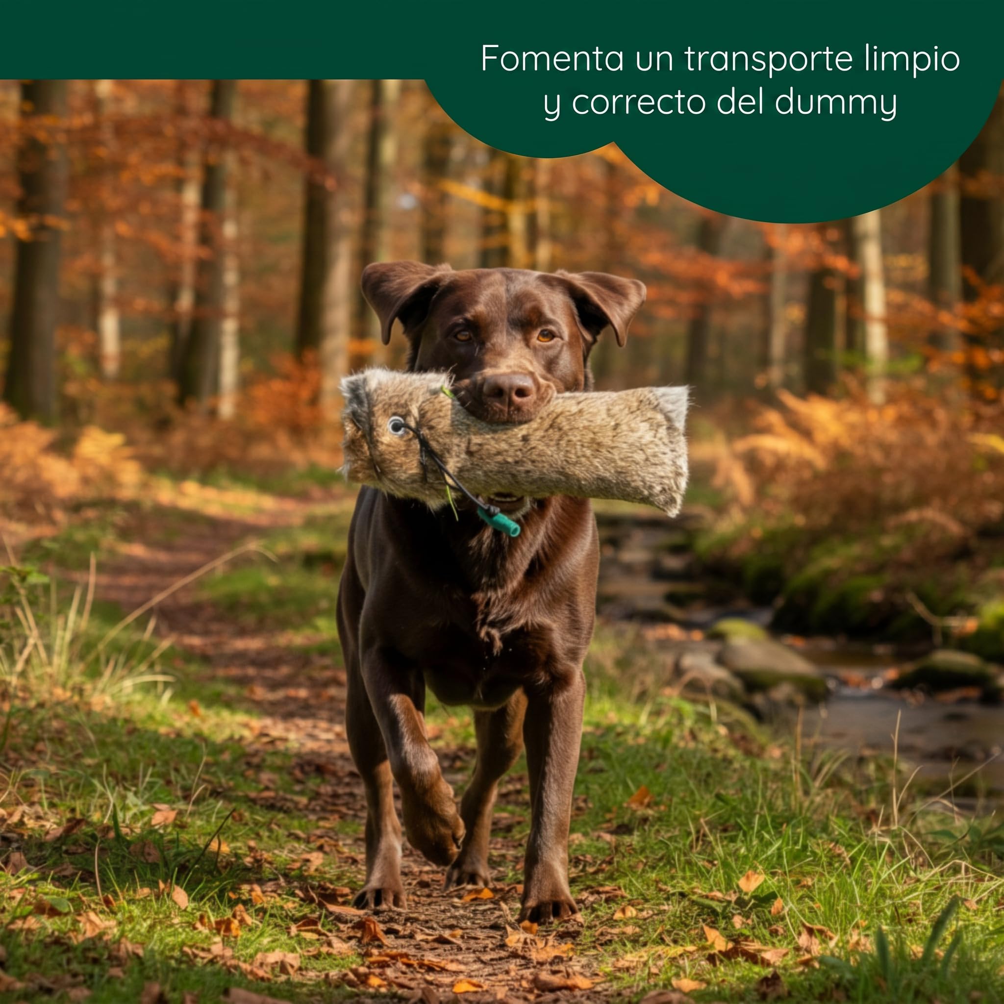 Romneys Dummy de conejo | Dummy estándar 500 g recubierto con piel de conejo real | Apportel Wild para el entrenamiento de perros de caza