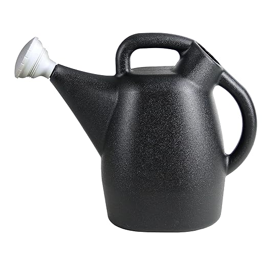 Chapin 47998 Watering Can, 2 Gallon, Indoor and Outdoor Plants, Lawn, Garden, Removable Nozzle, Drip-Free Sprinkler Head, Recycled Plastic, Black