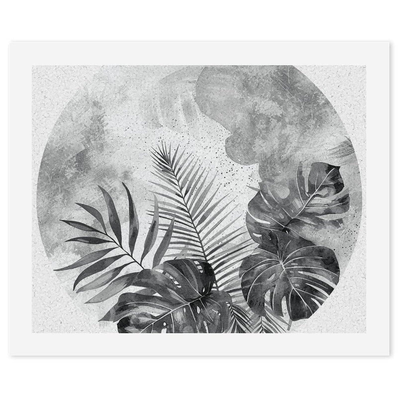RTBKLYQ Kit per dipingere con i numeri, per adulti principianti Monstera e foglie di palma fai da te digitale pittura a olio tela per kit di pittura regalo decorazione domestica