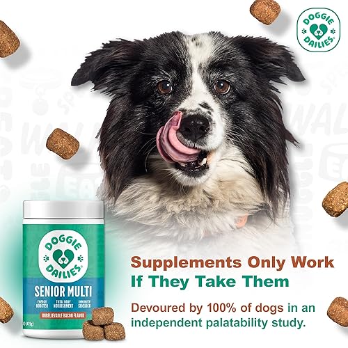 Miniatura 3 de Doggie Dailies Senior Essentials Multivitamínico para perros masticables suaves Multivitamínico avanzado para perros Apoyo nutricional para