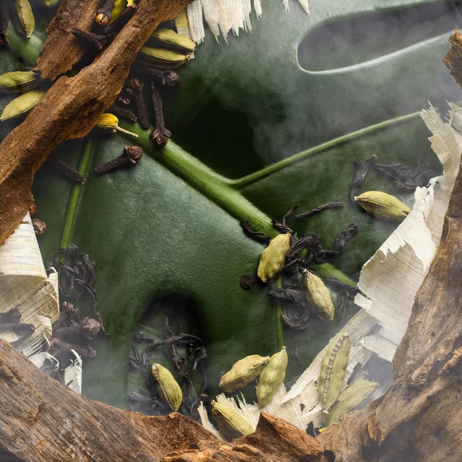 Fine'ry Woody Jungle Santal Hair + Body Fragrance Mist Spray for Women & Men, Unisex Earthy Long Lasting Scent with Papyrus Wood, Indian Cardamom, Black Oolong Tea, Body Spray for Men, Vegan (5 Fl Oz) - Image 4