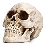 READAEER Resin Skull, Human Head Model for Home Decoration, Halloween Statue, Skull Model for Bookshelf and Desktop (White)