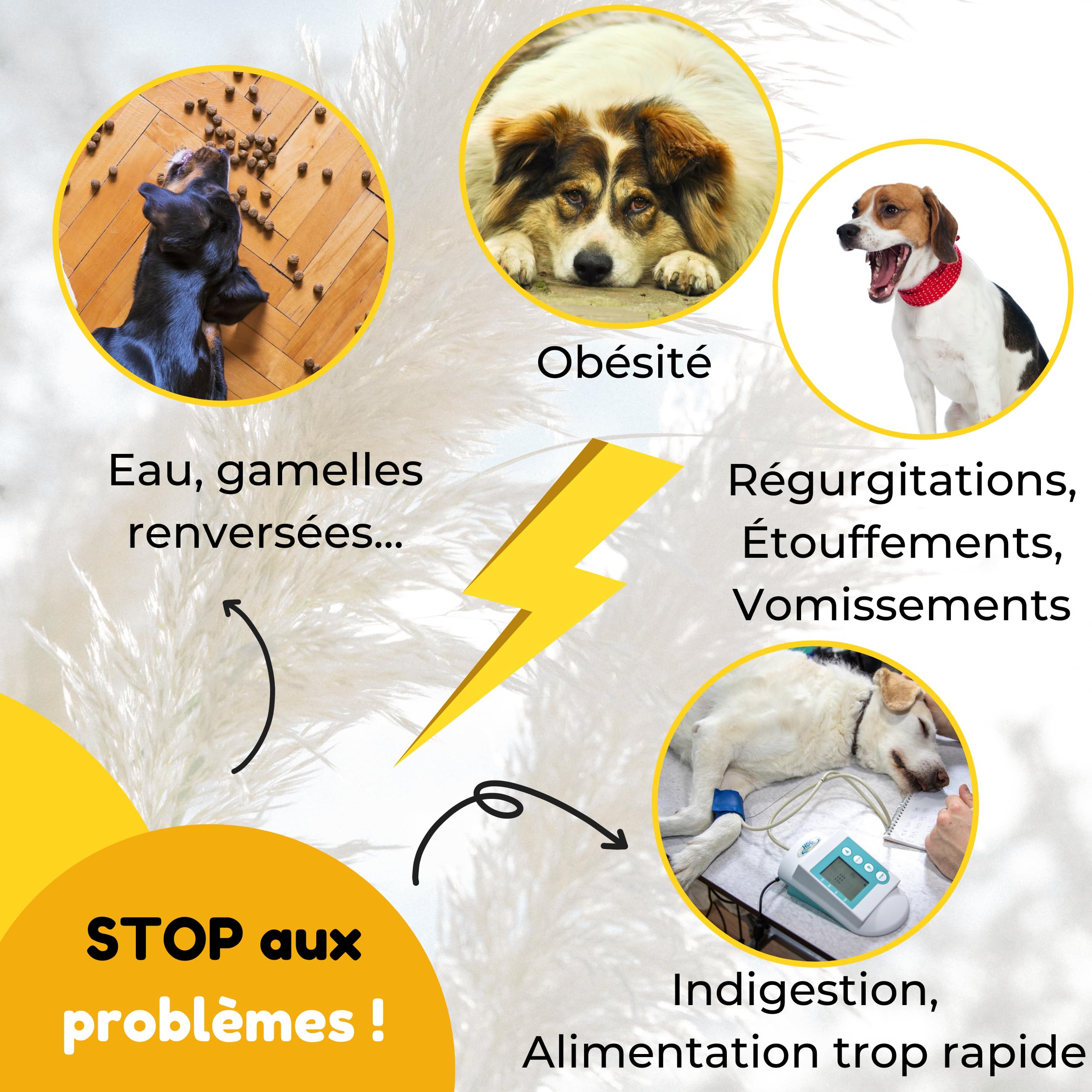 Ac'Crocs,Ciotola per cani 4 in 1: tappetino antiscivolo, anti-fuoriuscita, anti-ribaltamento, doppia ciotola in acciaio inox! Per cani di medie e grandi dimensioni + 1 Frisbee in omaggio