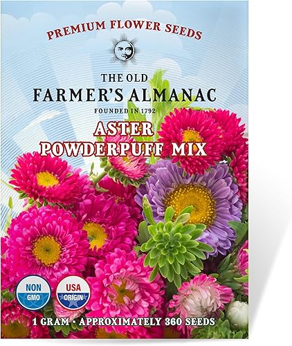 The Old Farmer's Almanac Aster Seeds (mezcla de polvo) - Aproximadamente 360 semillas de flores - Premium sin OMG, polinizado abierto, origen