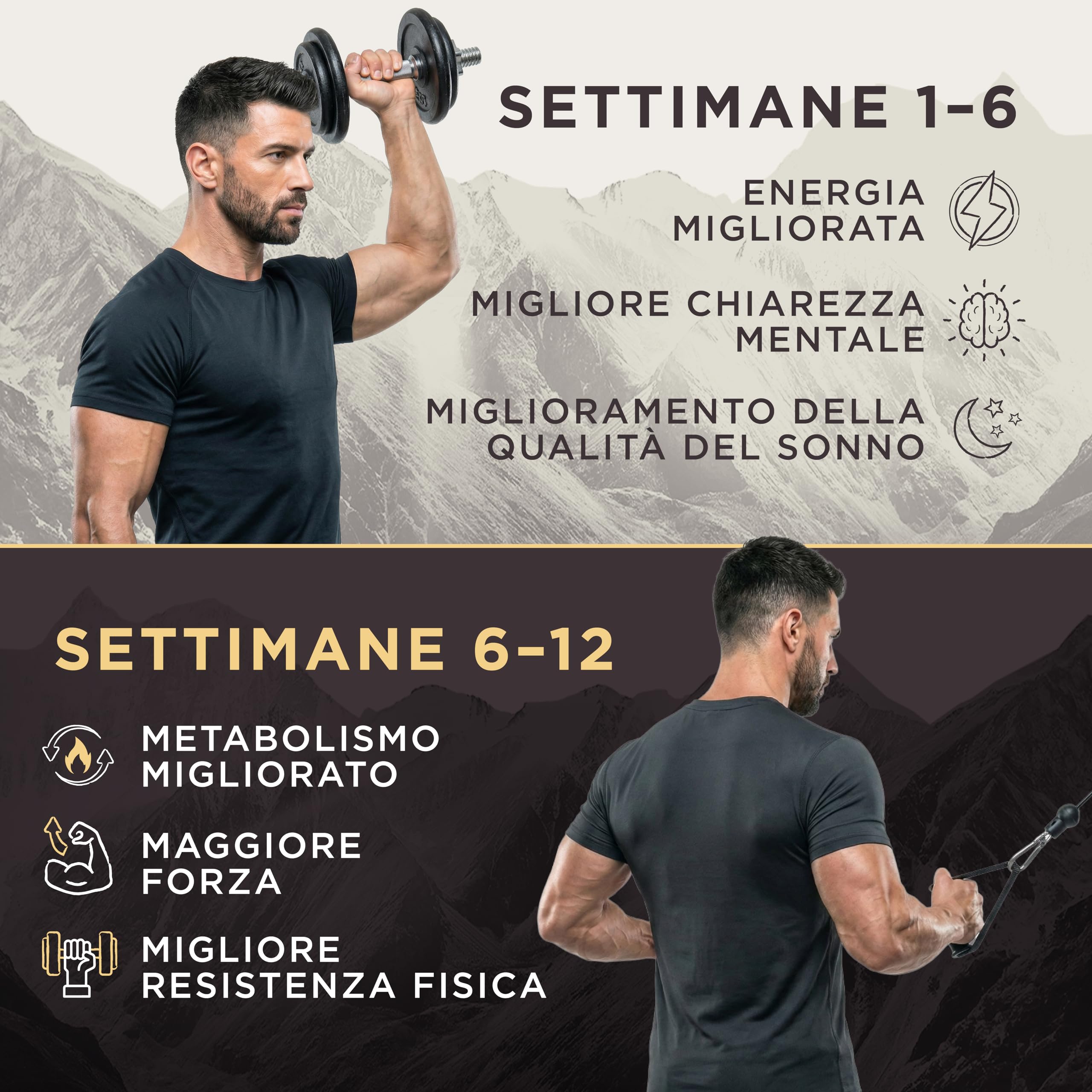 Resina di Shilajit Oro 40g – 81% Acido Fulvico, B12 & Minerali – Energia, Focus & Resistenza – Vegano, Testato in Laboratorio – Fornitura di 3 Mesi