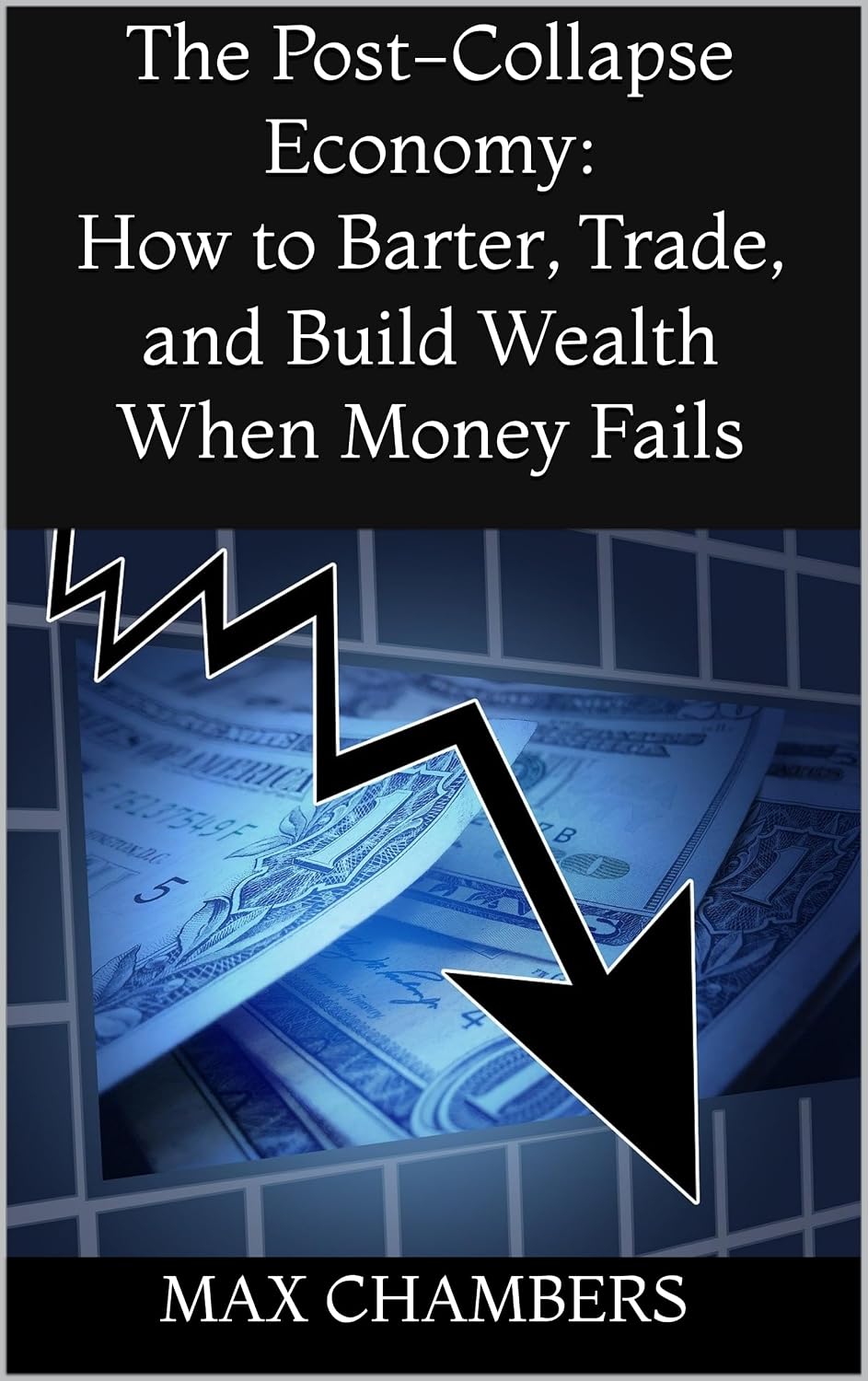Amazon.com: The Post-Collapse Economy: How to Barter, Trade, and Build ...