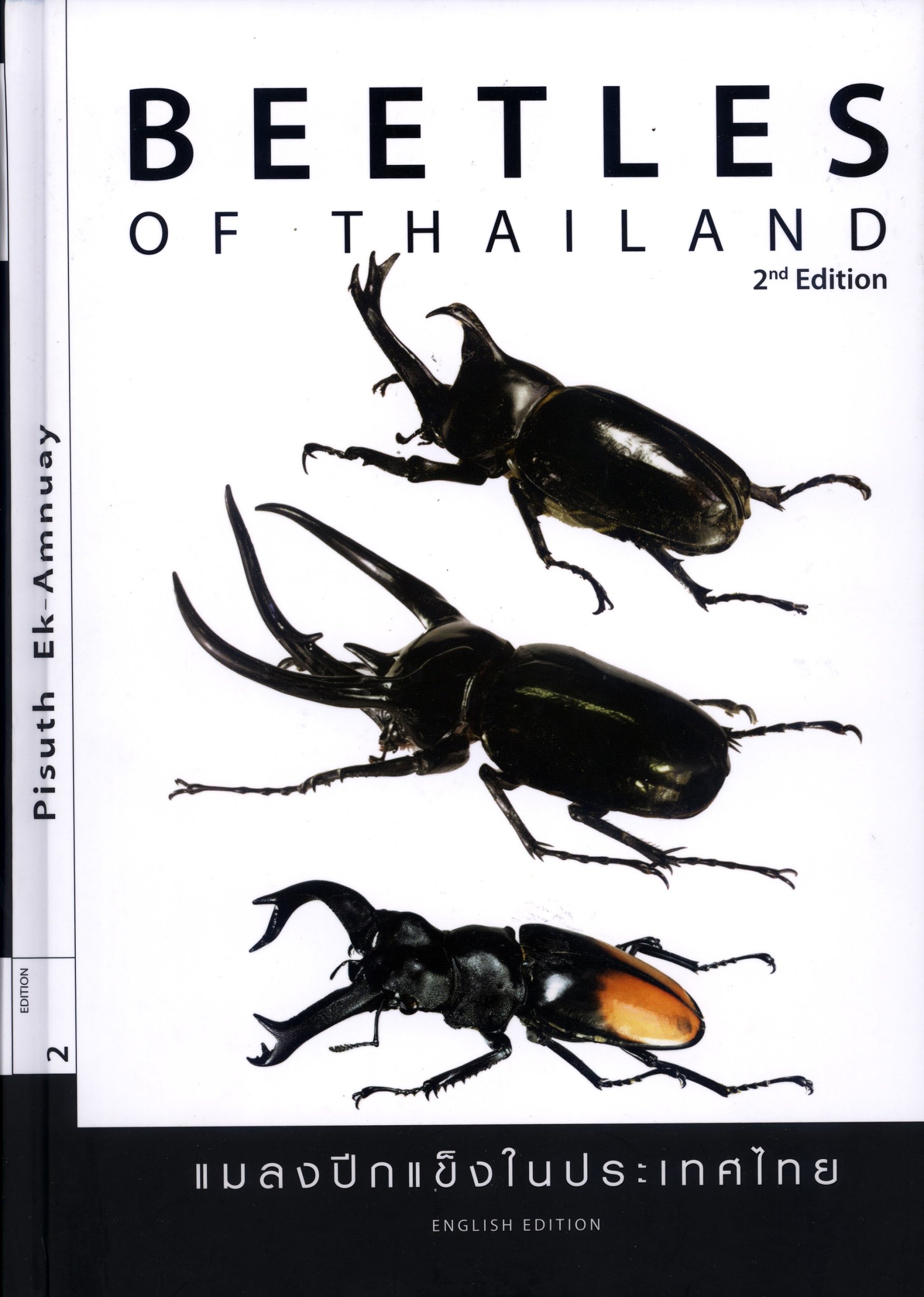 標本 BEETLES OF THAILAND 2nd Edition Amazon.co.jp: BEETLES OF THAILAND 2nd Edition : 本
