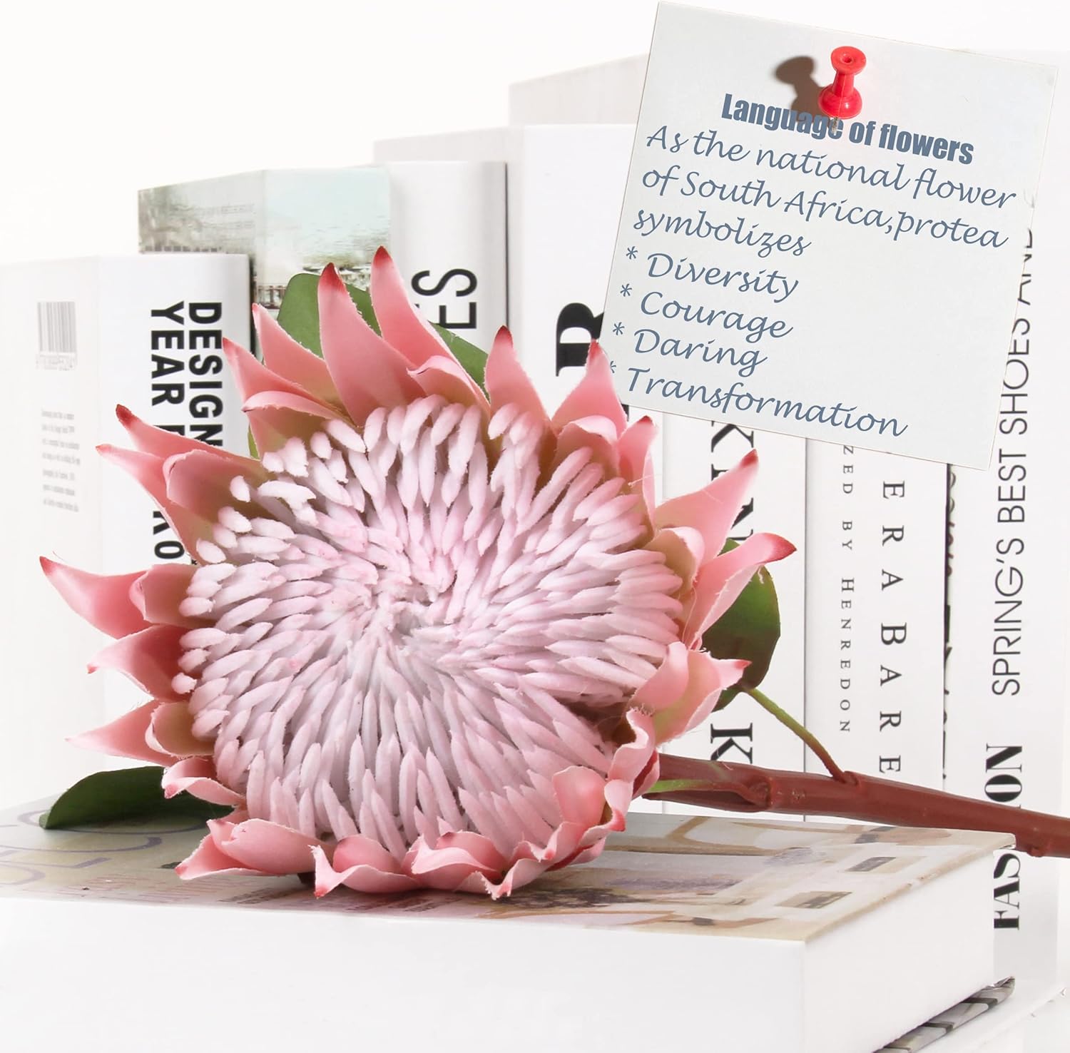 4pcs Artificial Protea Flowers,26 Inch Super Long Stem Faux Protea Artificial Flowers, Silk Protea for Home Decor Centerpiece Crafts Wedding Bouquet Supply,Pink