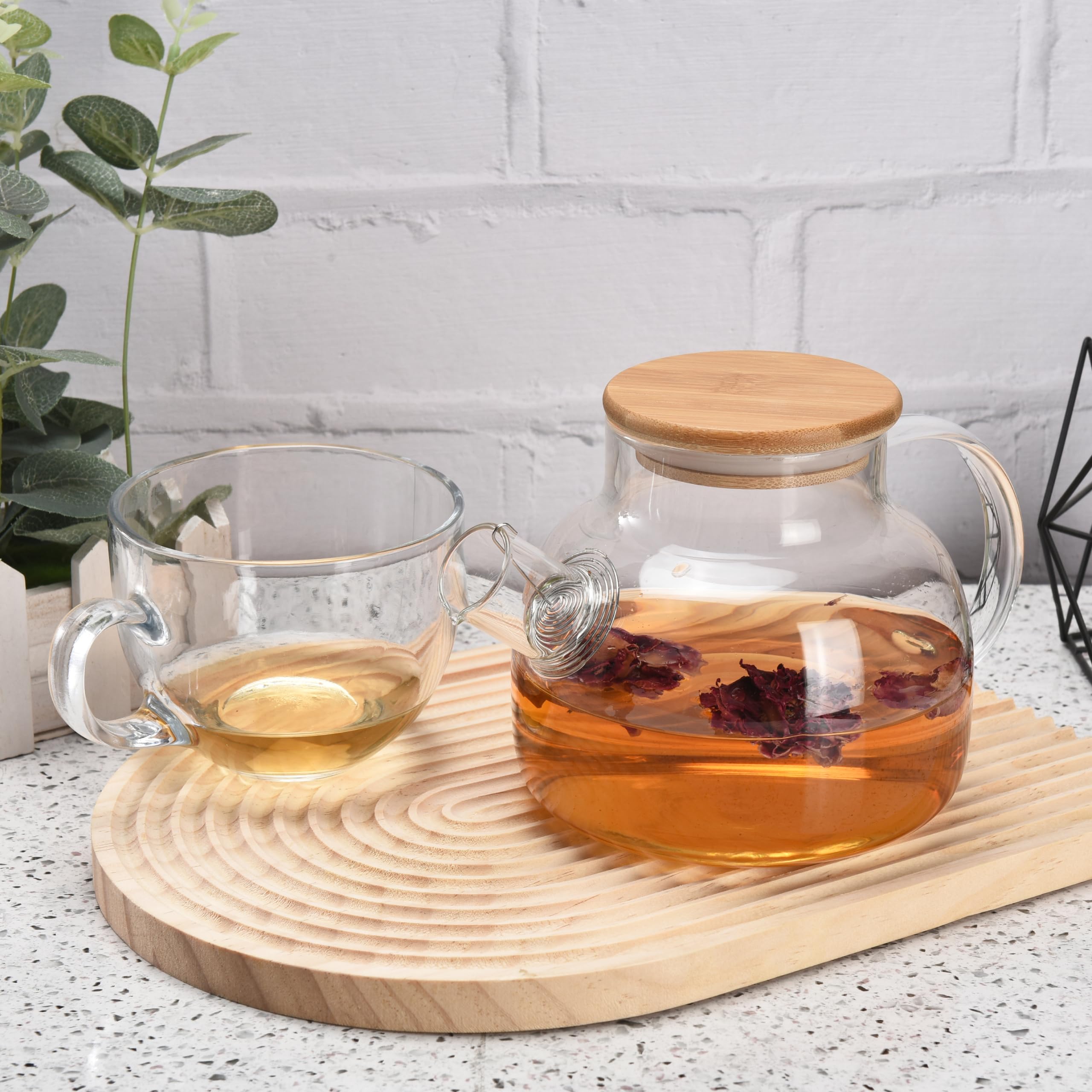 Regal Trunk Glass Teapot - Wooden Lid & Infuser -6