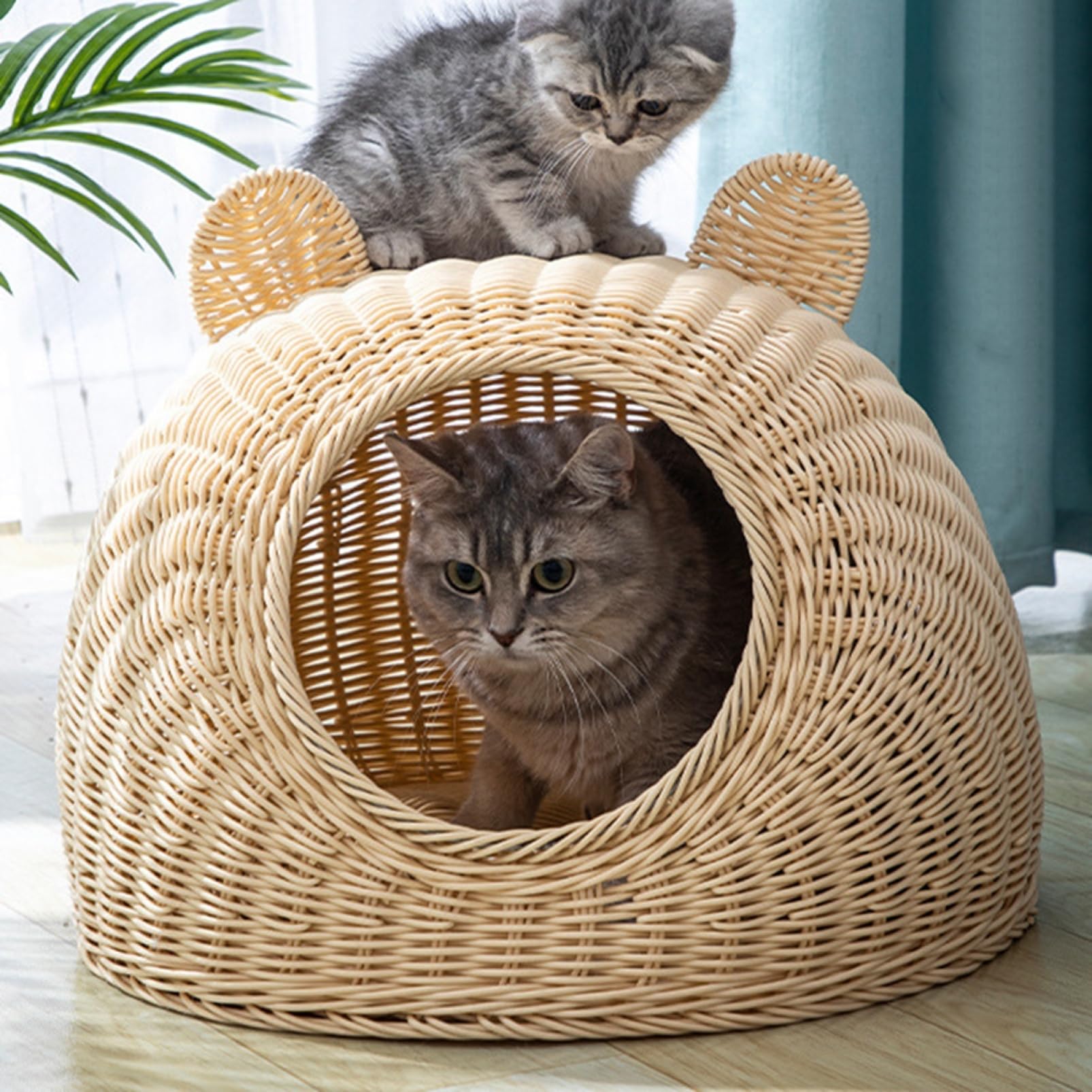 Amazon | 猫 ハウス キャットハウス 藤編み 通気性 おしゃれ