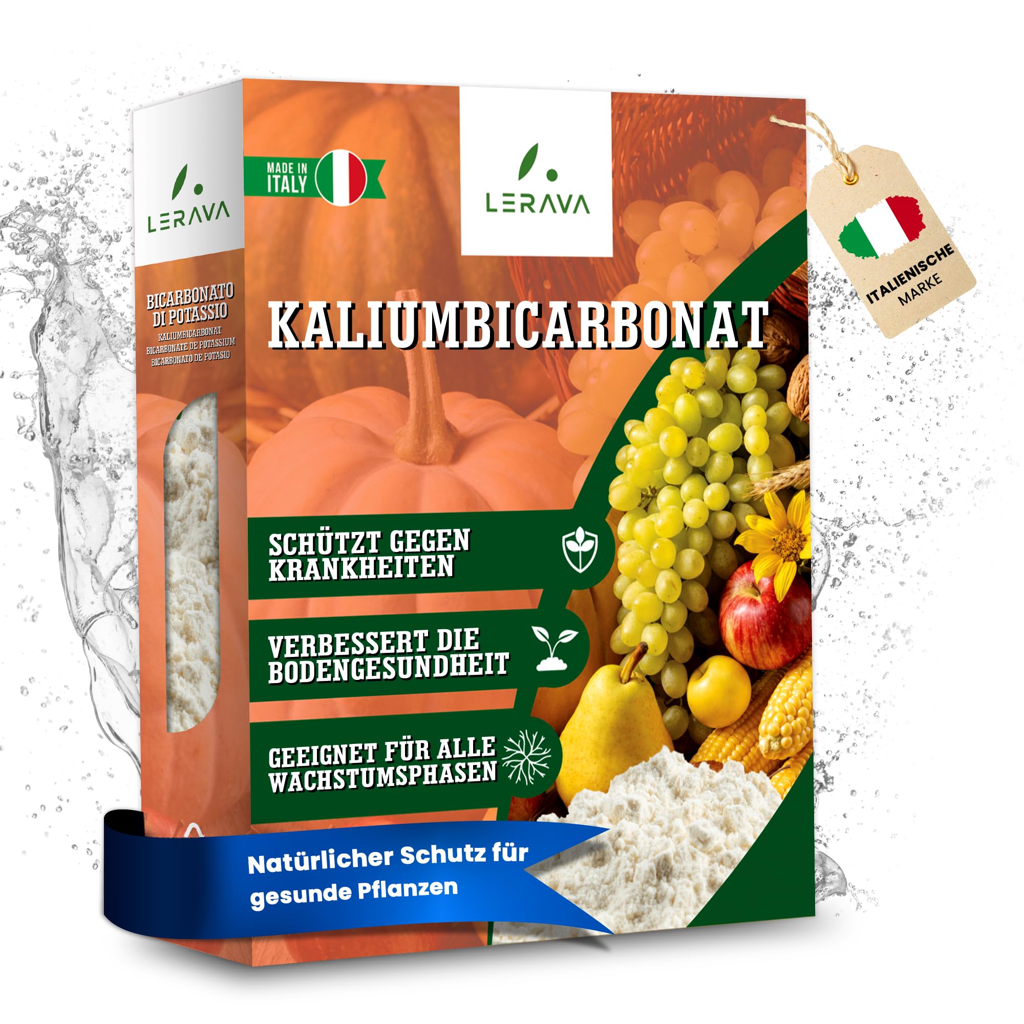 zimmerpflanze spargelkraut Asparagus setaceus kaufen main image 0