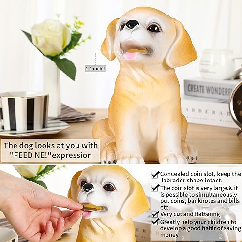 Miniatura 8 de H&W Black Labrador Dog - Alcancía inastillable para perros, banco de dinero creativo, puede almacenar 1000 monedas, el mejor regalo de cumpleaños