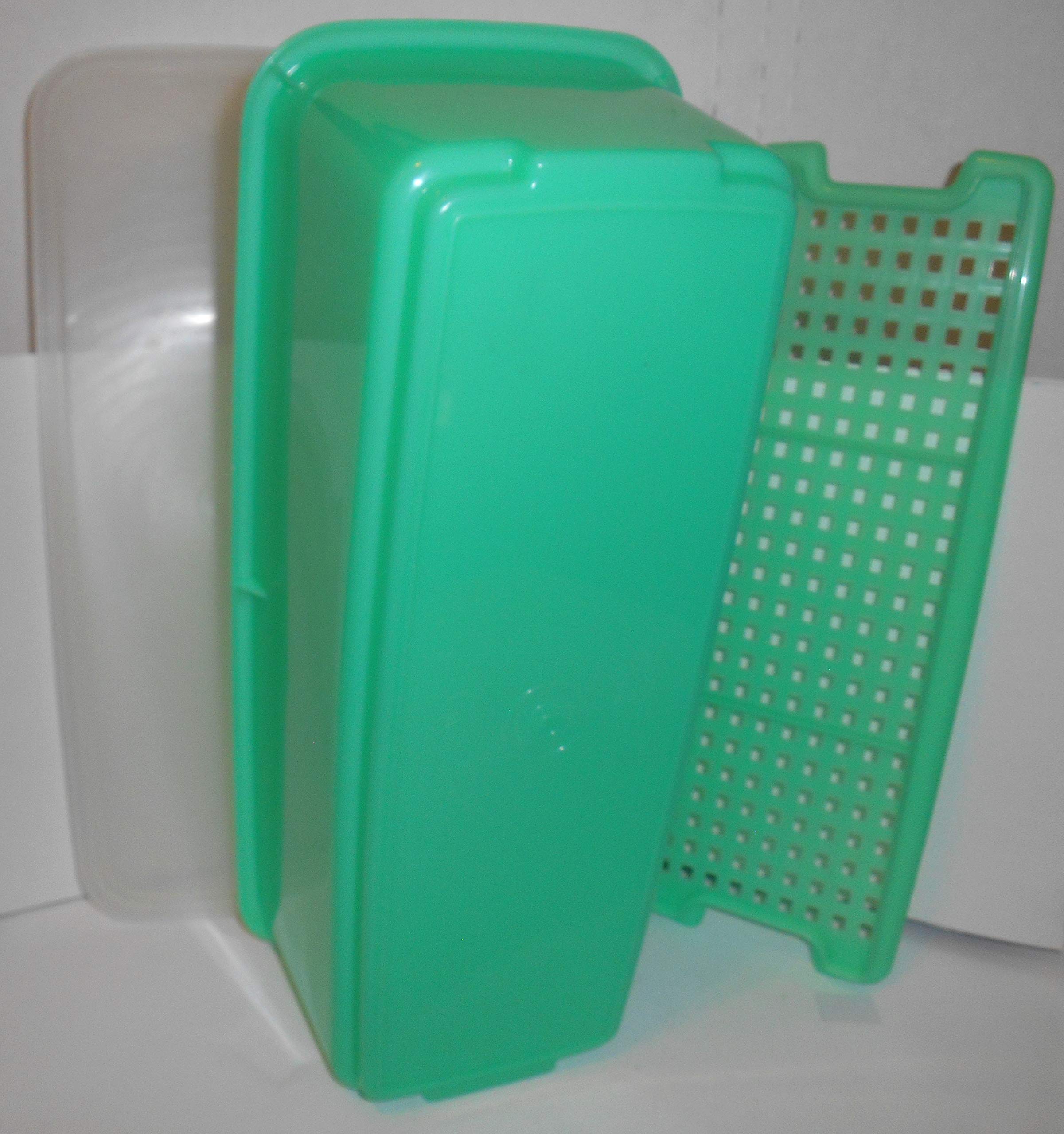 Amazon.com: Tupperware Green Celery Keeper with Tray : Home & Kitchen