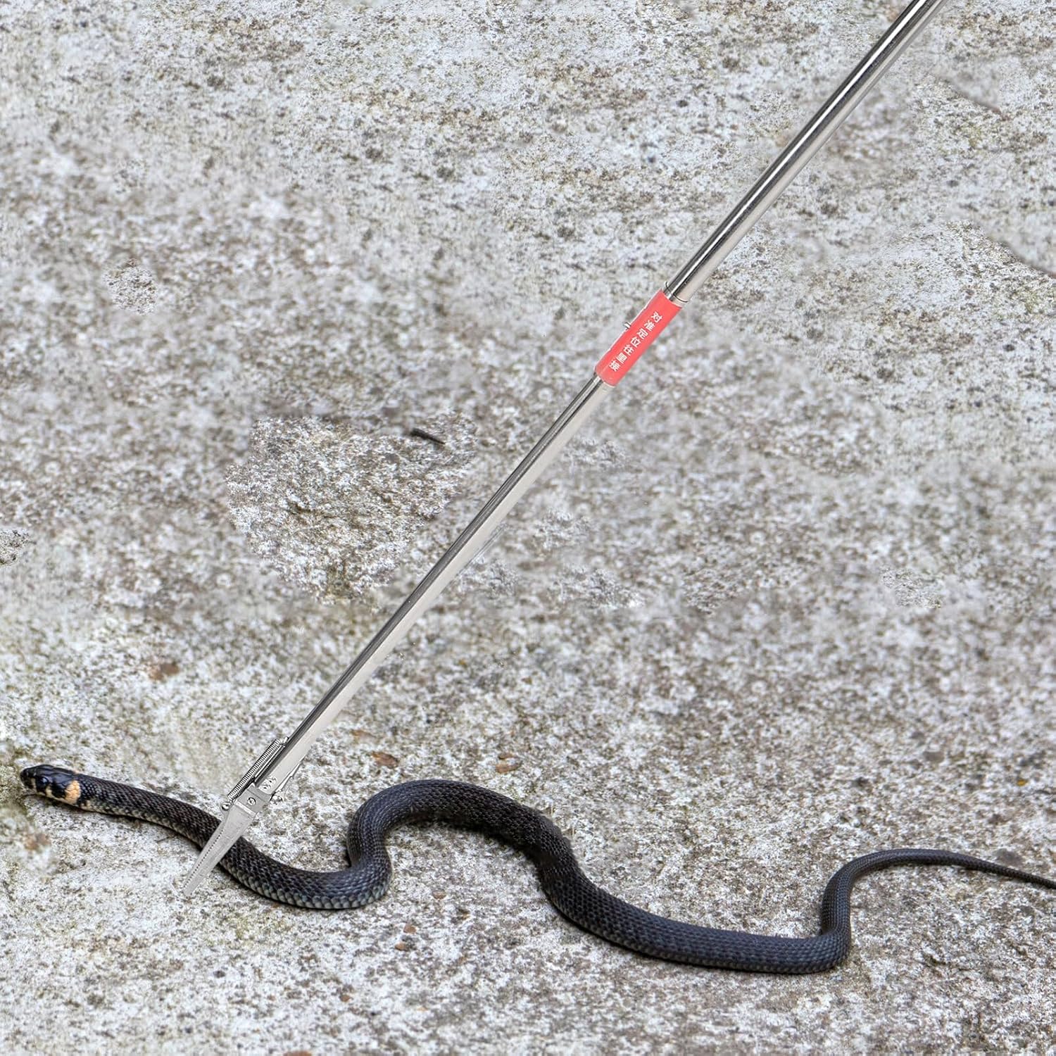 POPETPOP Stainless Steel Snake Tongs Snake Catcher Clips Safe Catching Tool for