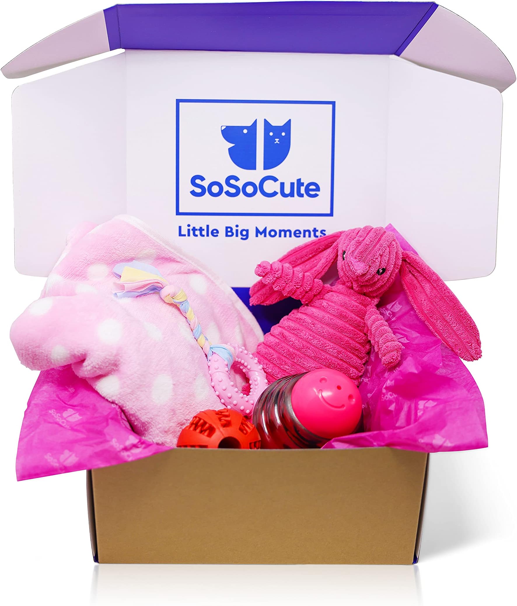 SoSoCutePink Dog Gift Box - Puppy Chew Toy Set of 5 - Puppy Care Package with Dog Blanket, Squeaky Plush, Rubber Puppy Teether, Teething Ball, and Treat Ball for Small and Medium Dogs