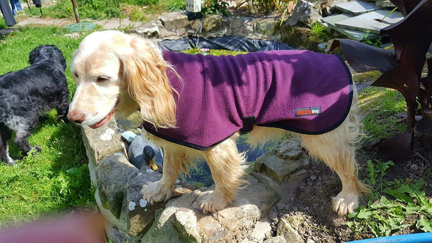 Hotterdog by Equafleece­® Fleece Dog Coat - Grape 18"