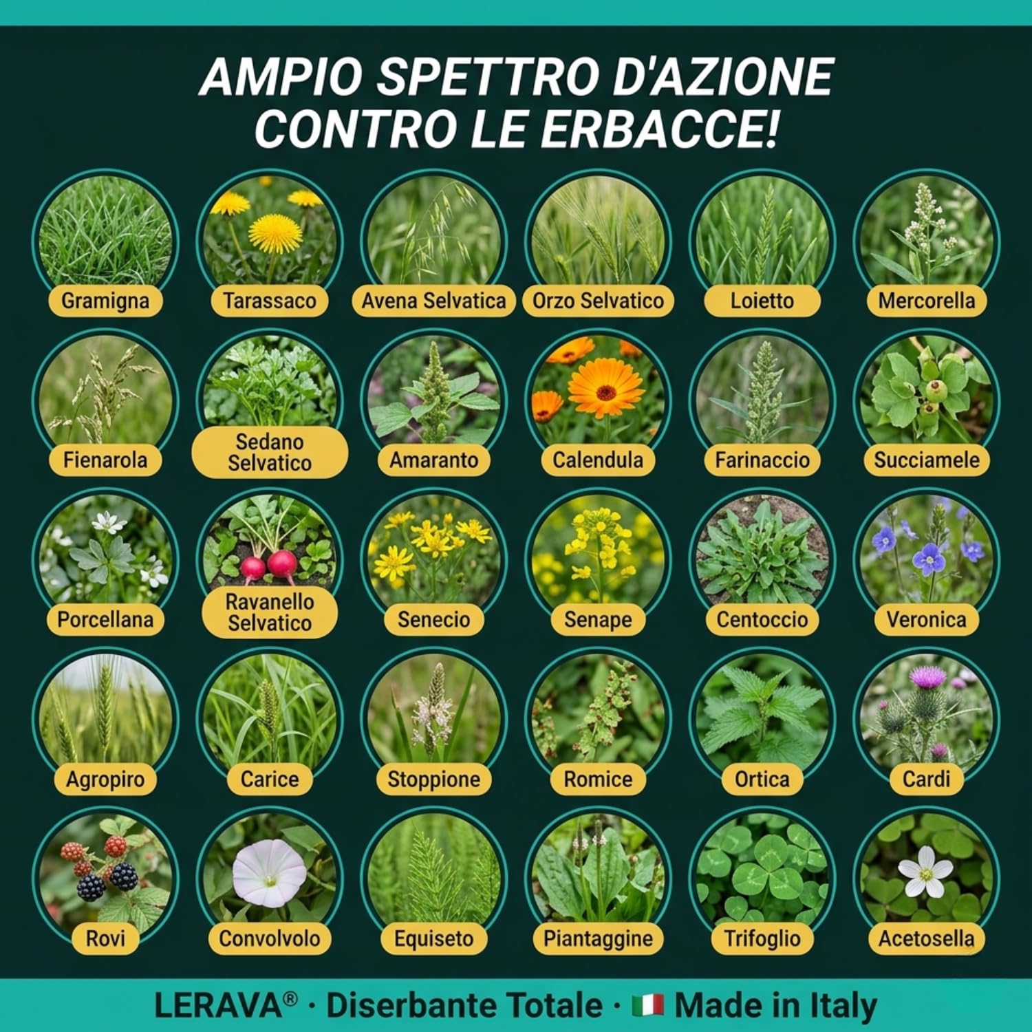 LERAVA® Diserbante Totale Potente (2x500 ml) - Glifosato erbicida contro erbacce