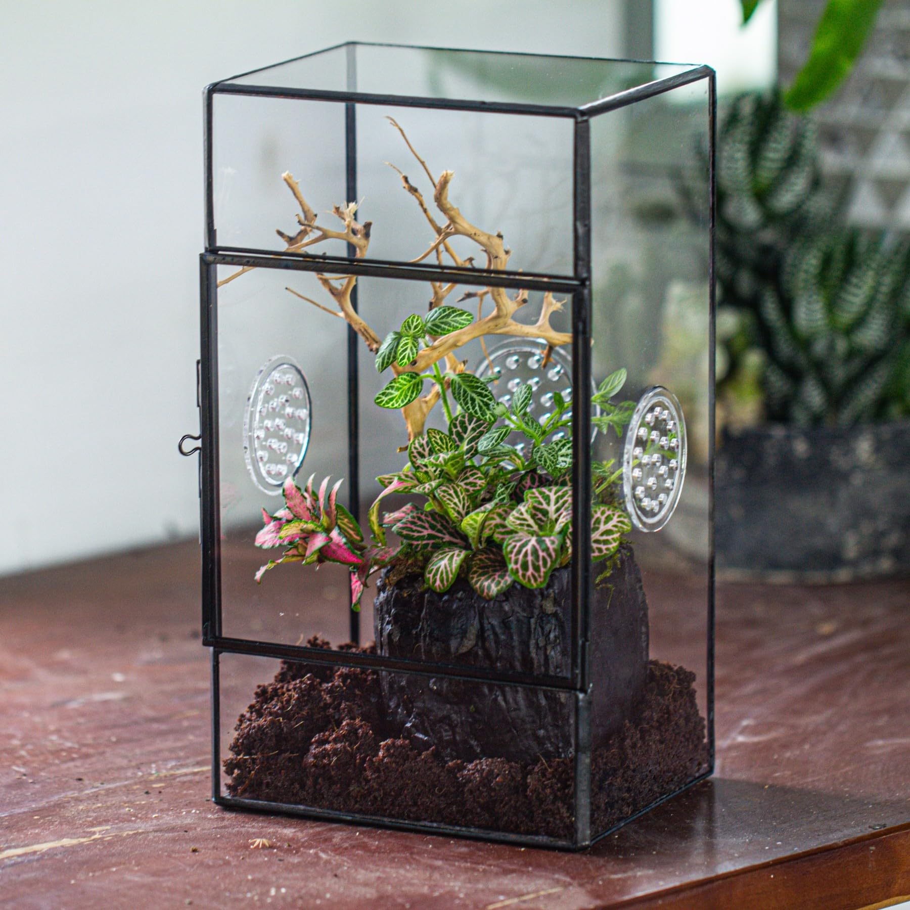 NCYP Terrario rettangolare in vetro con porta laterale e tre fori di ventilazione fatto a mano,13x10x23 cm, nero geometrico terraio per piccoli insetti, decorazione per casa e giardino (solo terrario)