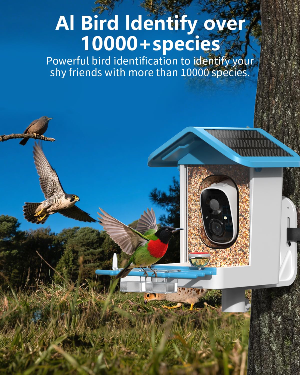 Vogelfutterstation mit Kamera Solarbetrieben, Smart Vogelhaus mit Cam mit KI Identifizieren von Arten, 2K HD Live View, Sofortige Ankunftswarnungen, Ideales Geschenk für Familie und Vogelliebhaber