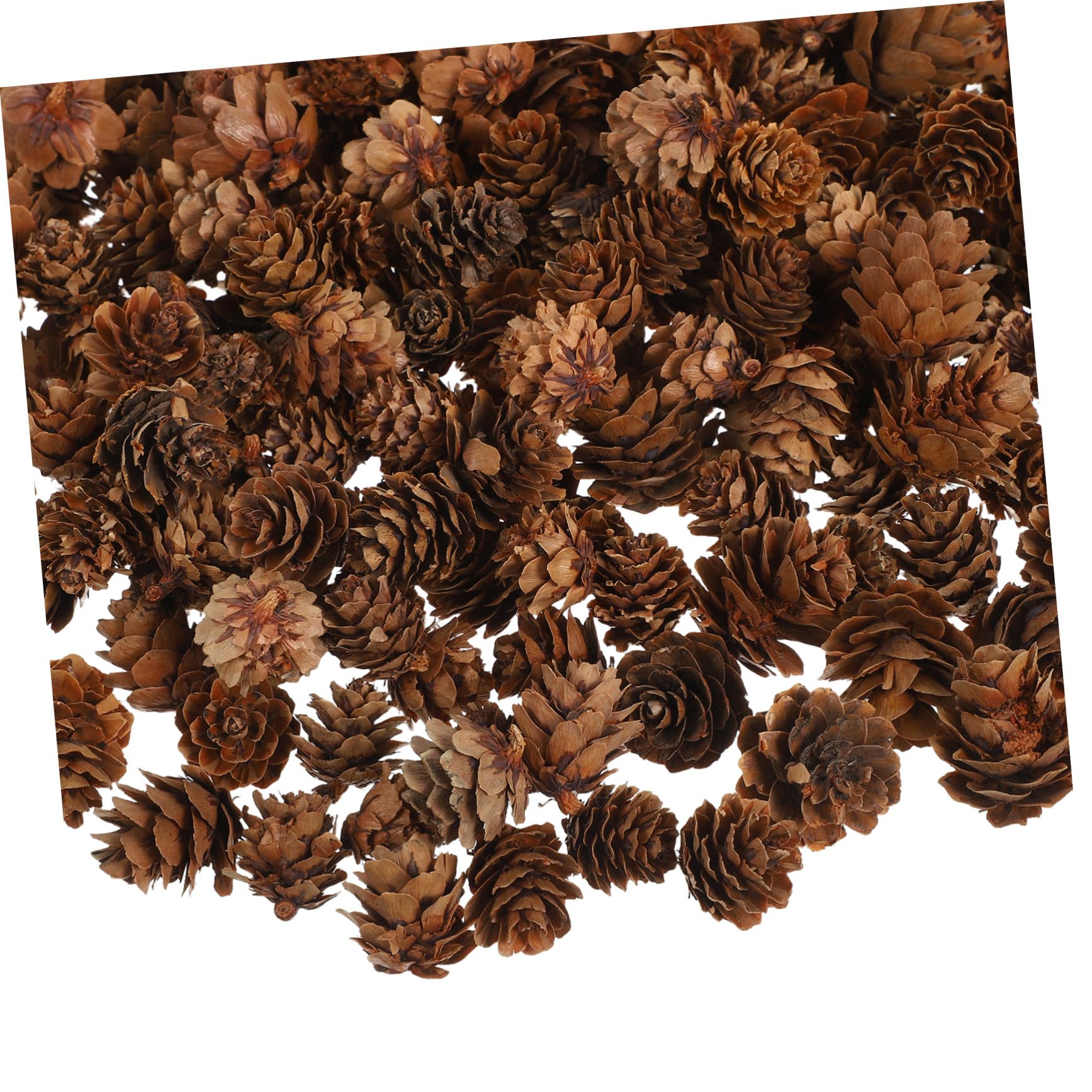 Kleine Tannenzapfen für Weihnachtsdeko Naturmaterial zum Basteln Tischdekoration und Vase Festive Ornaments für Christbaum und Wohnzimmer
