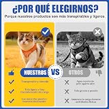 Ver la foto 4