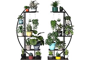 GDLF Circle Plant Stand: A Verdant Oasis for Your Beloved Greenery
