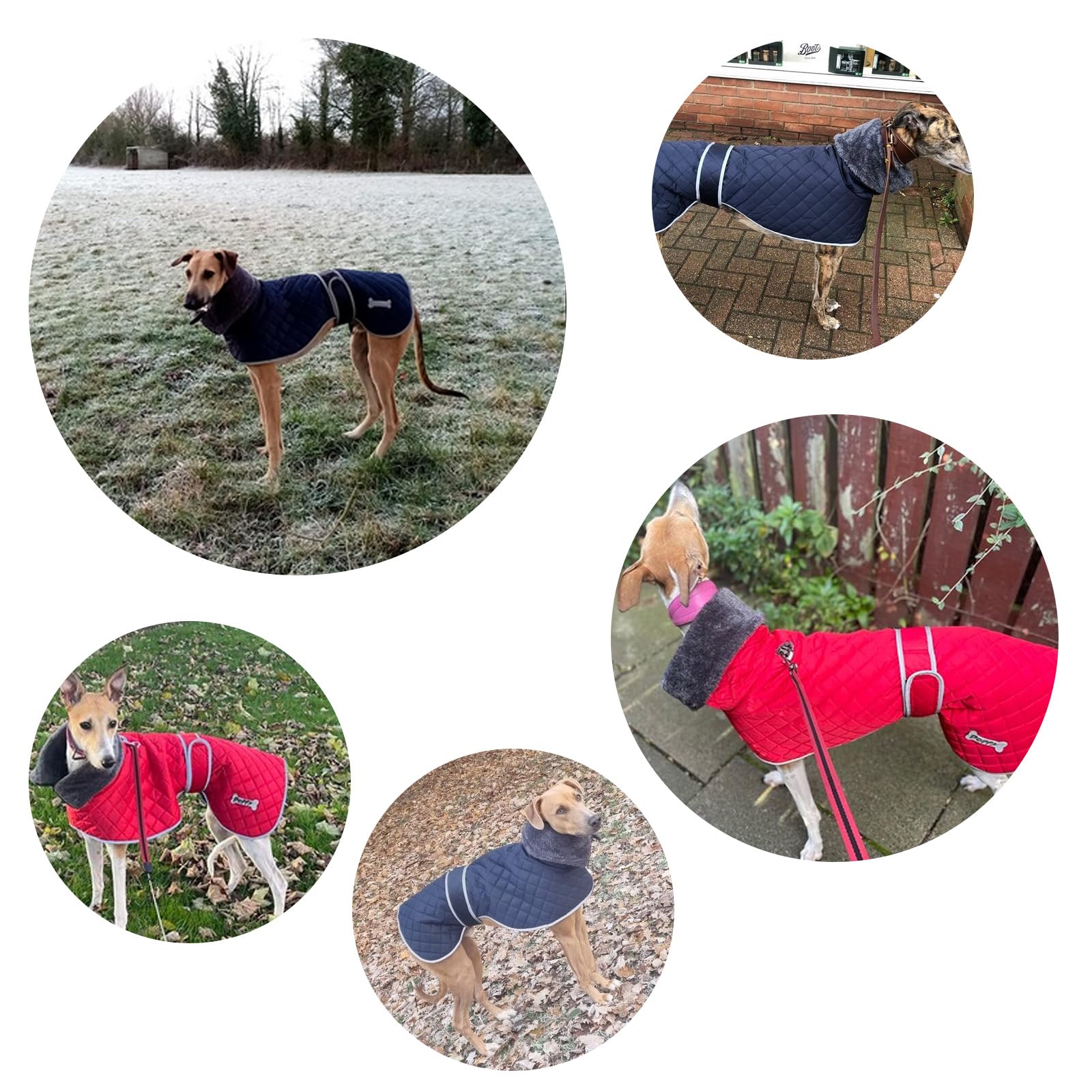 Geyecete Manteau Chien Hiver pour lévriers,Manteau Chien imperméable pour Levriers,Pull Chien pour Whippets avec Doublure en Polaire Chaude,Vêtements pour lévriers/Lurchers/Whippets-Bleu-L